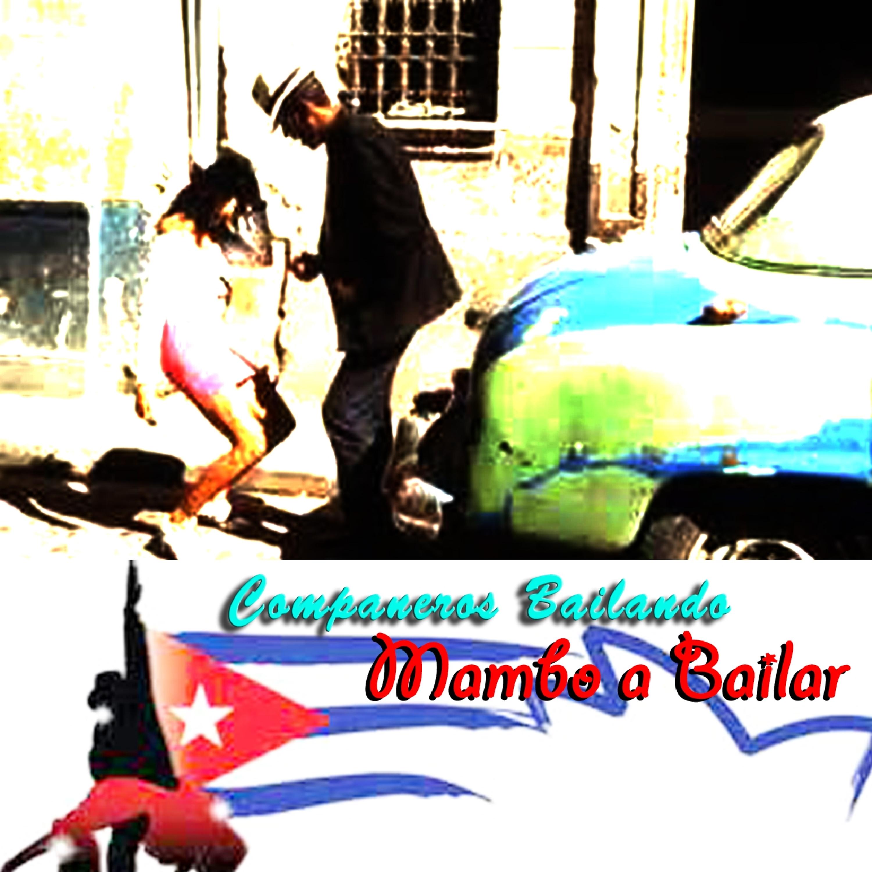 Постер альбома Mambo a Bailar