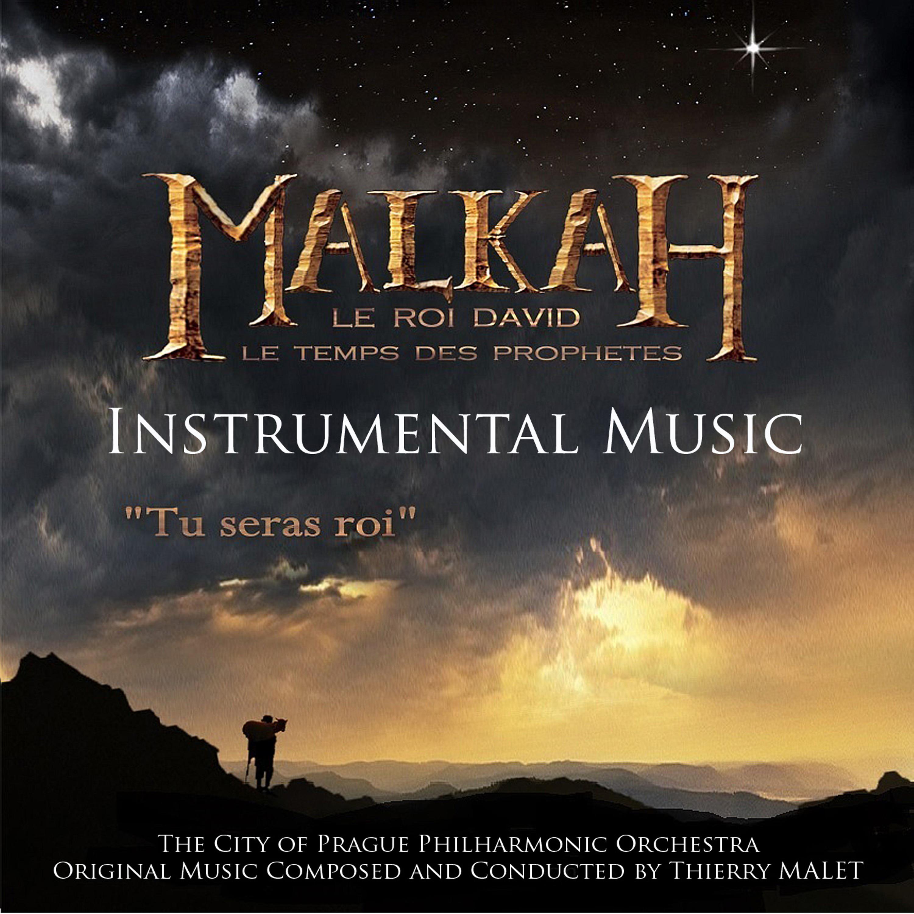 Постер альбома Malkah - Le roi David - Le temps des prophètes