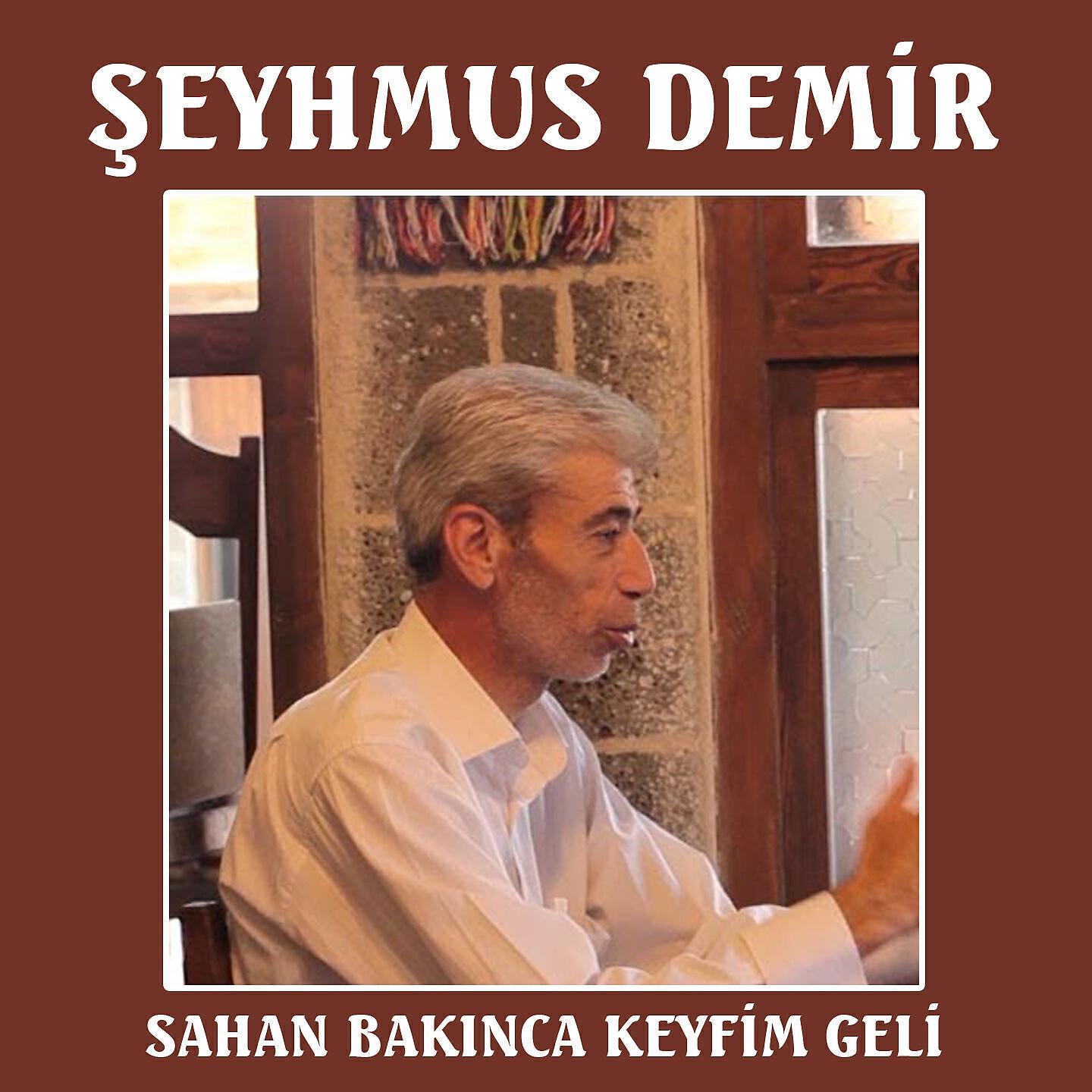 Şeyhmus Demir - Sahan Bakınca Keyfim Geli