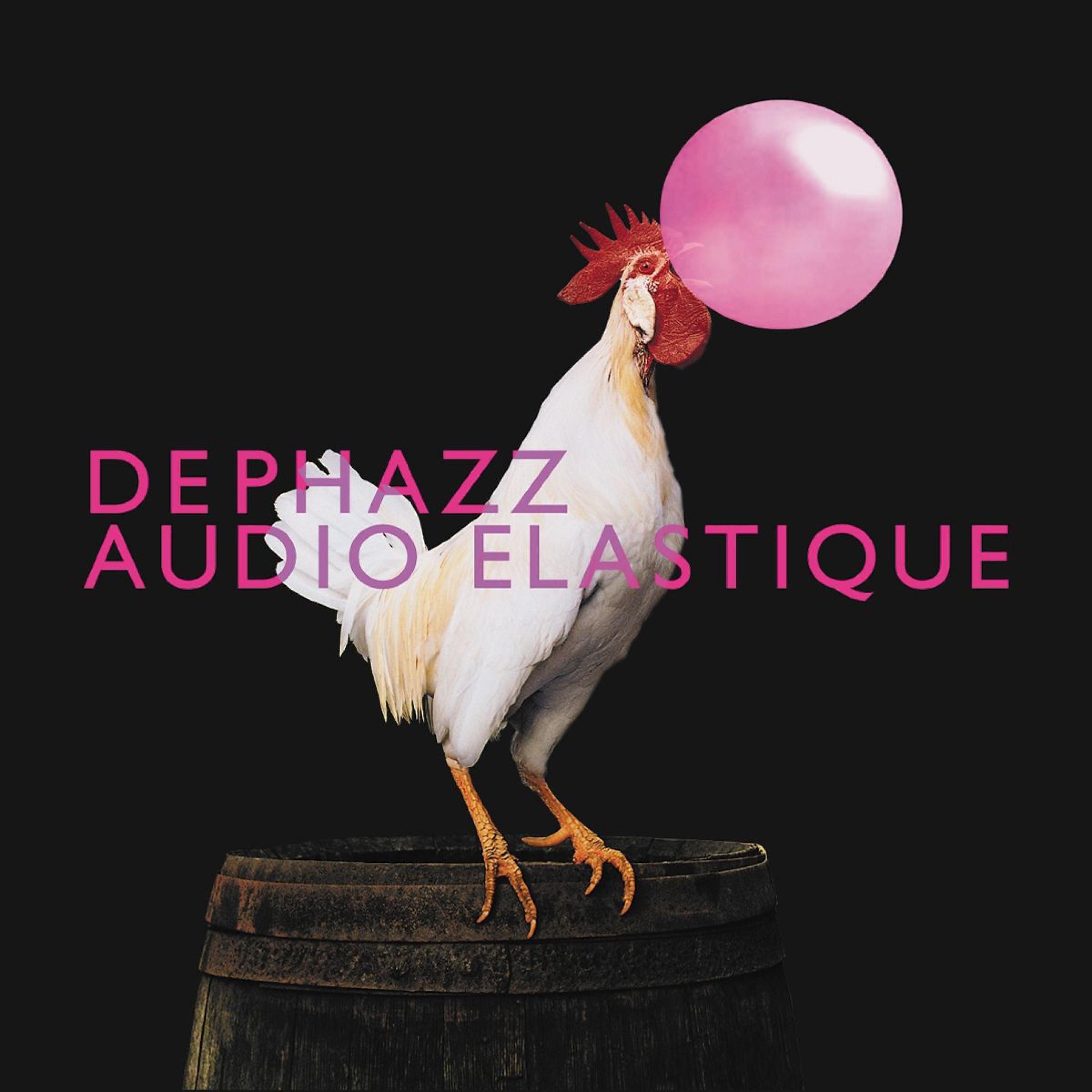 Постер альбома Audio Elastique