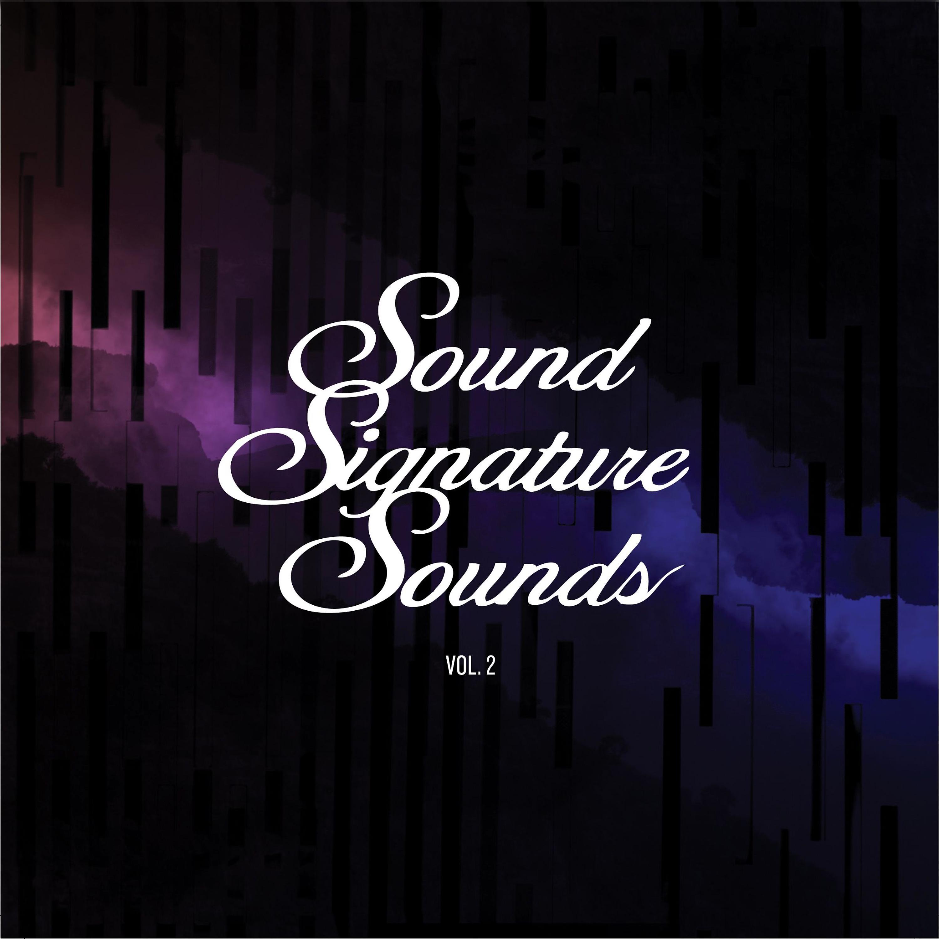Постер альбома Sound Signature Sounds, Vol. 2
