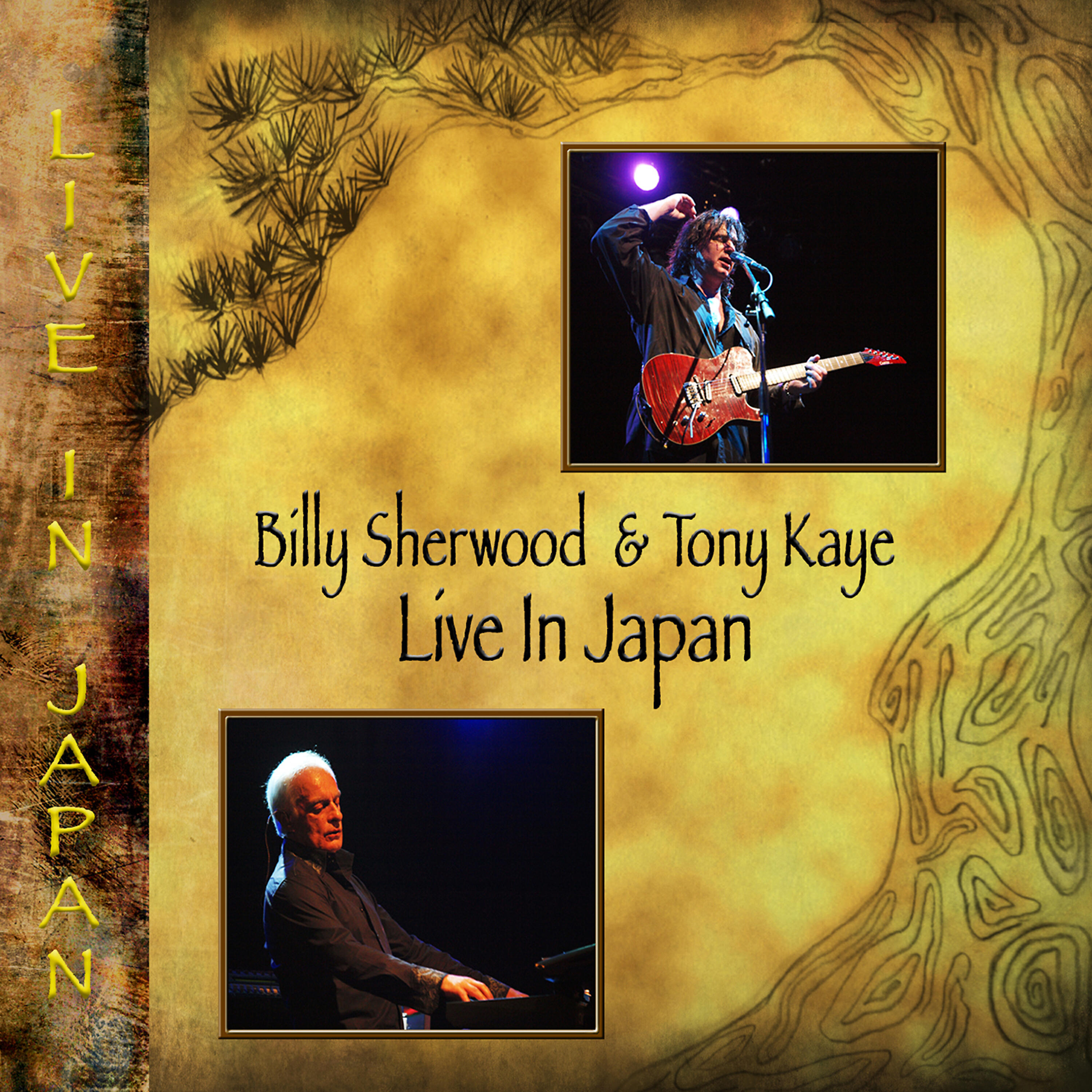 Billy Sherwood - Fireworks (Live)