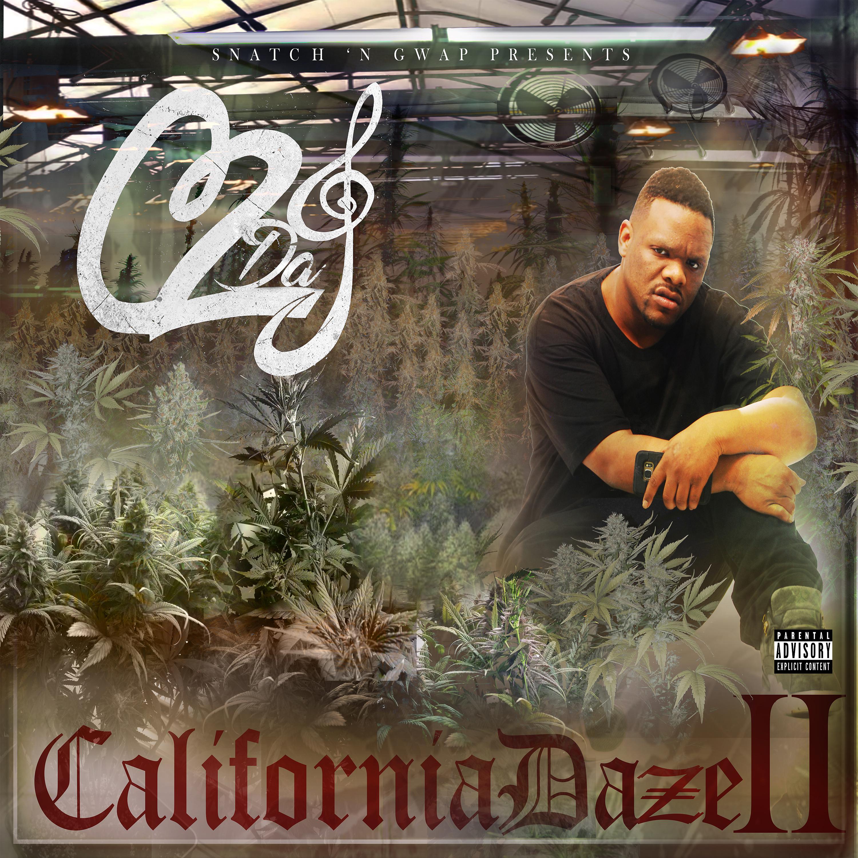 Постер альбома California Daze 2