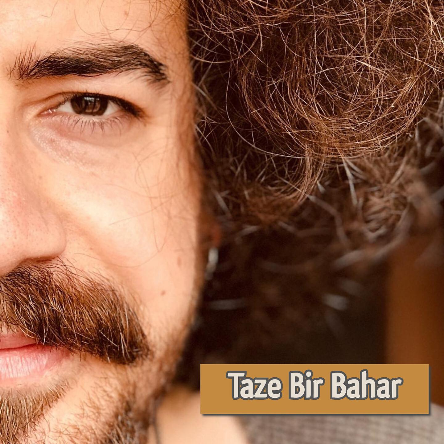 Alican Özveren - Taze Bir Bahar