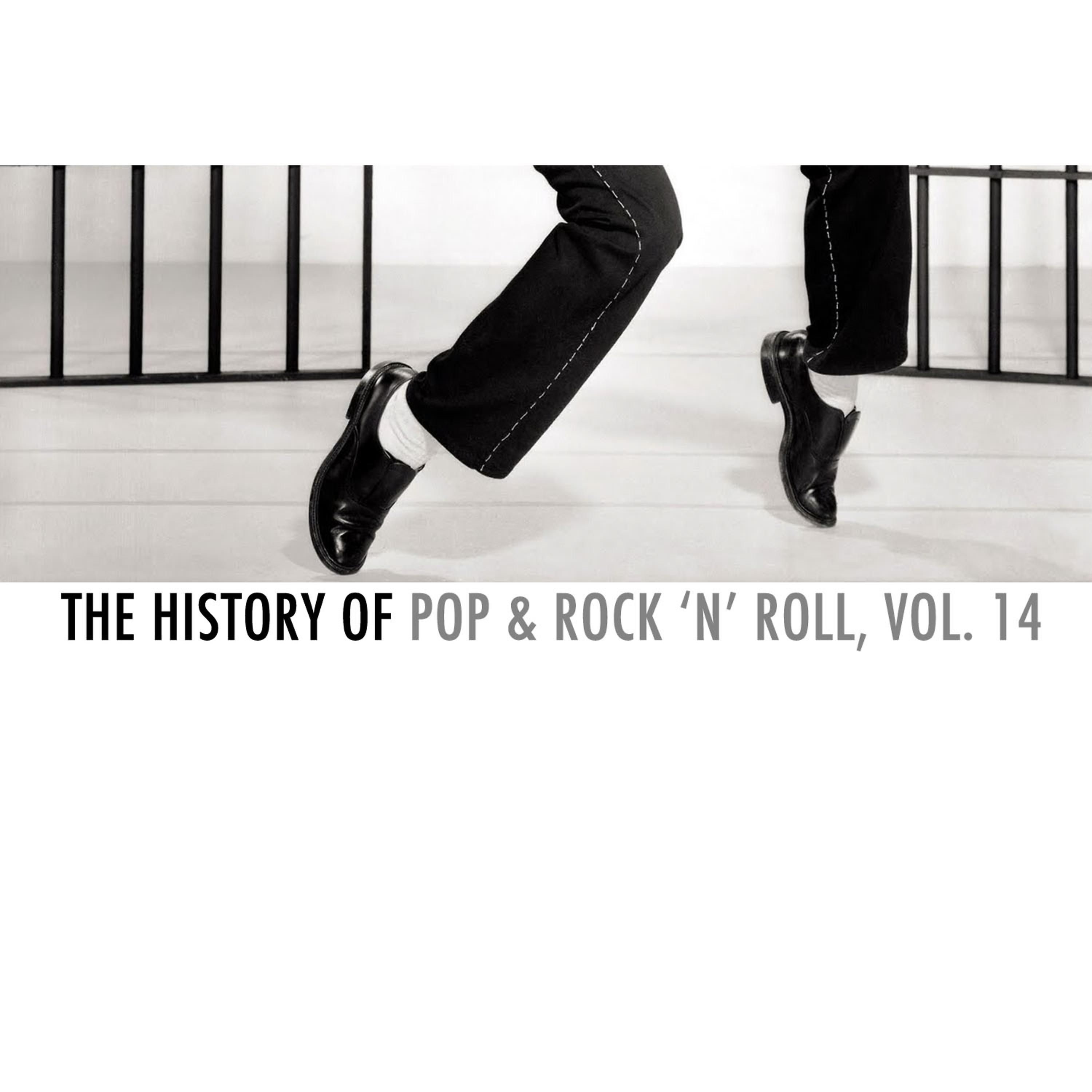 Постер альбома The History of Pop & Rock 'N' Roll, Vol. 14