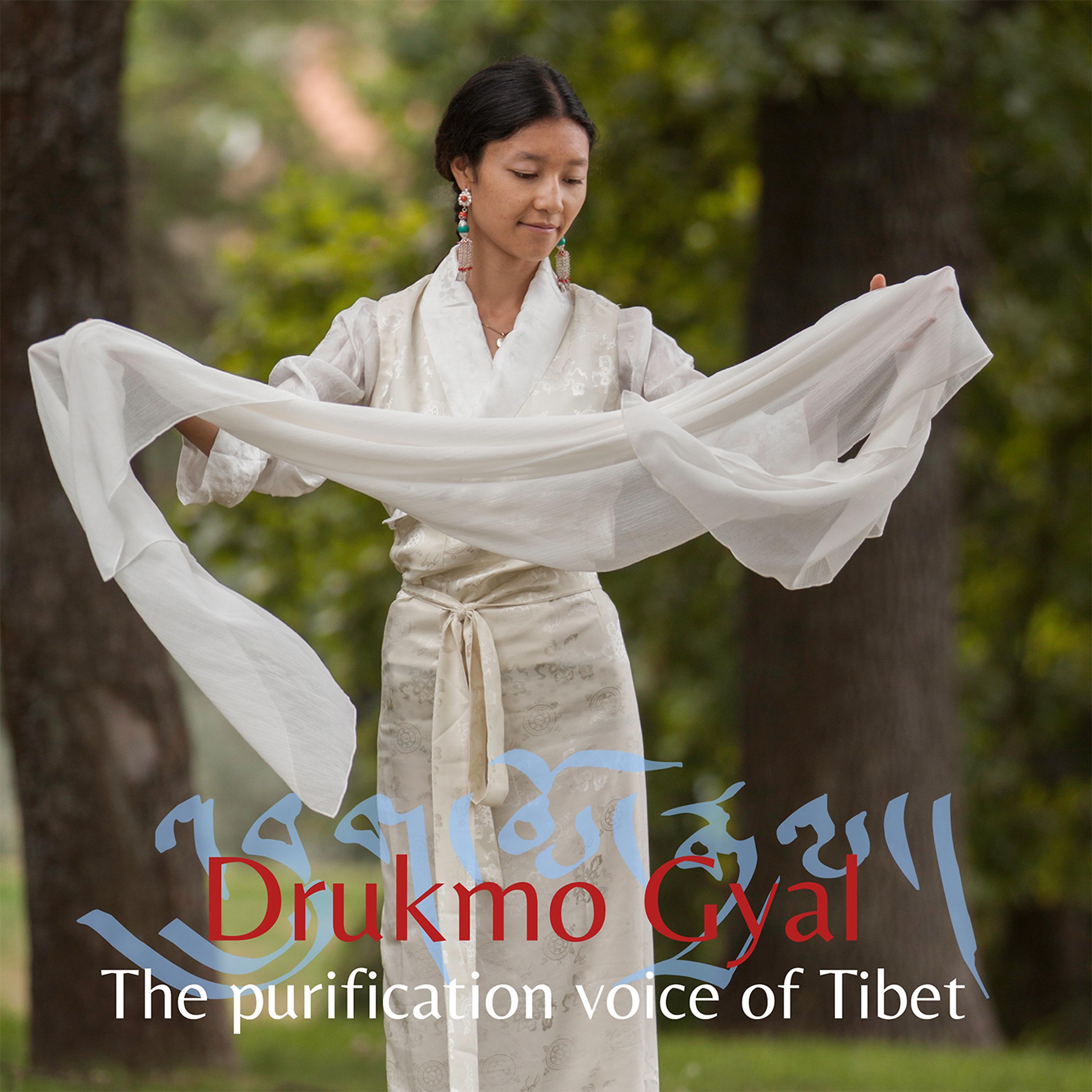 Постер альбома Purification Voice of Tibet
