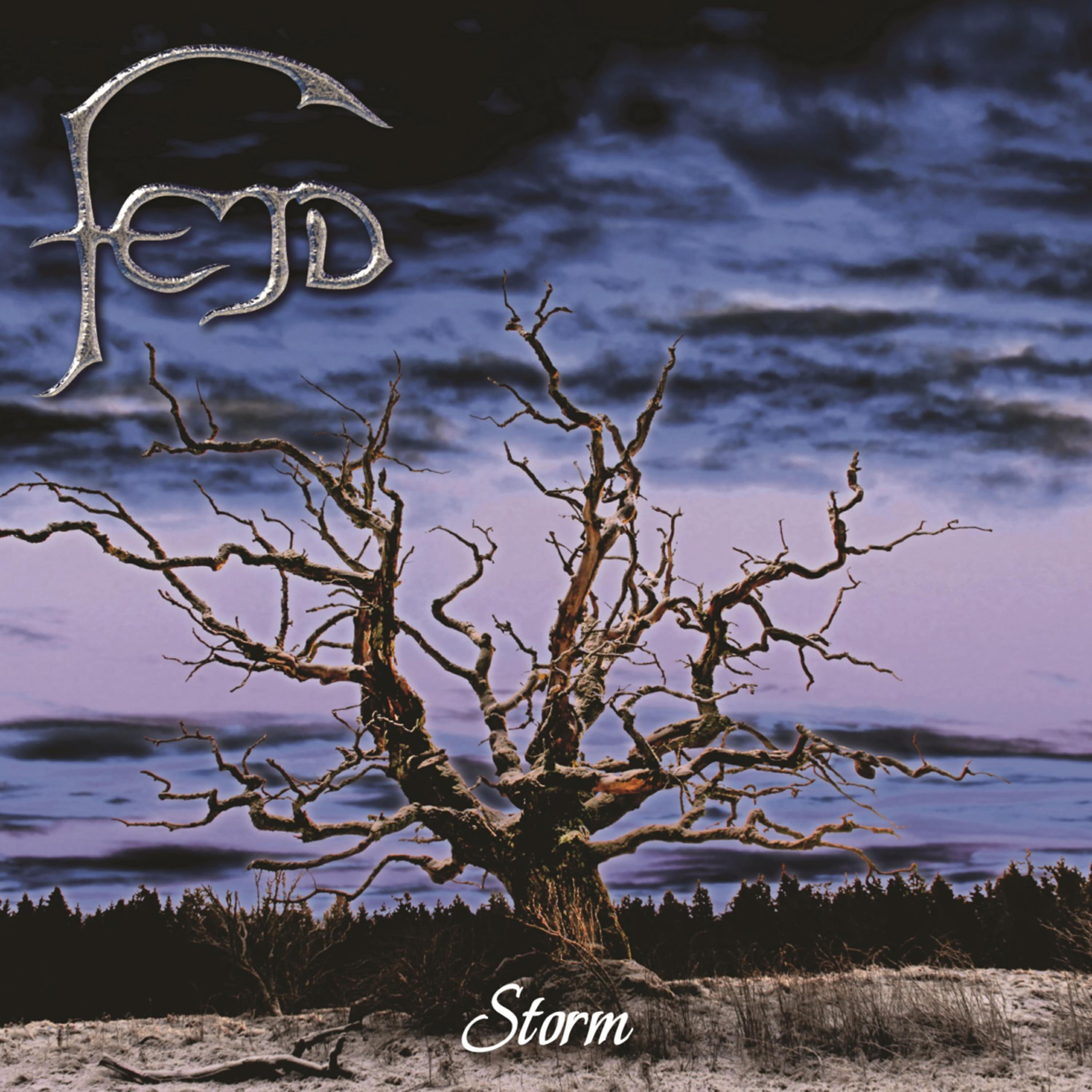 Fejd - Bergakungen