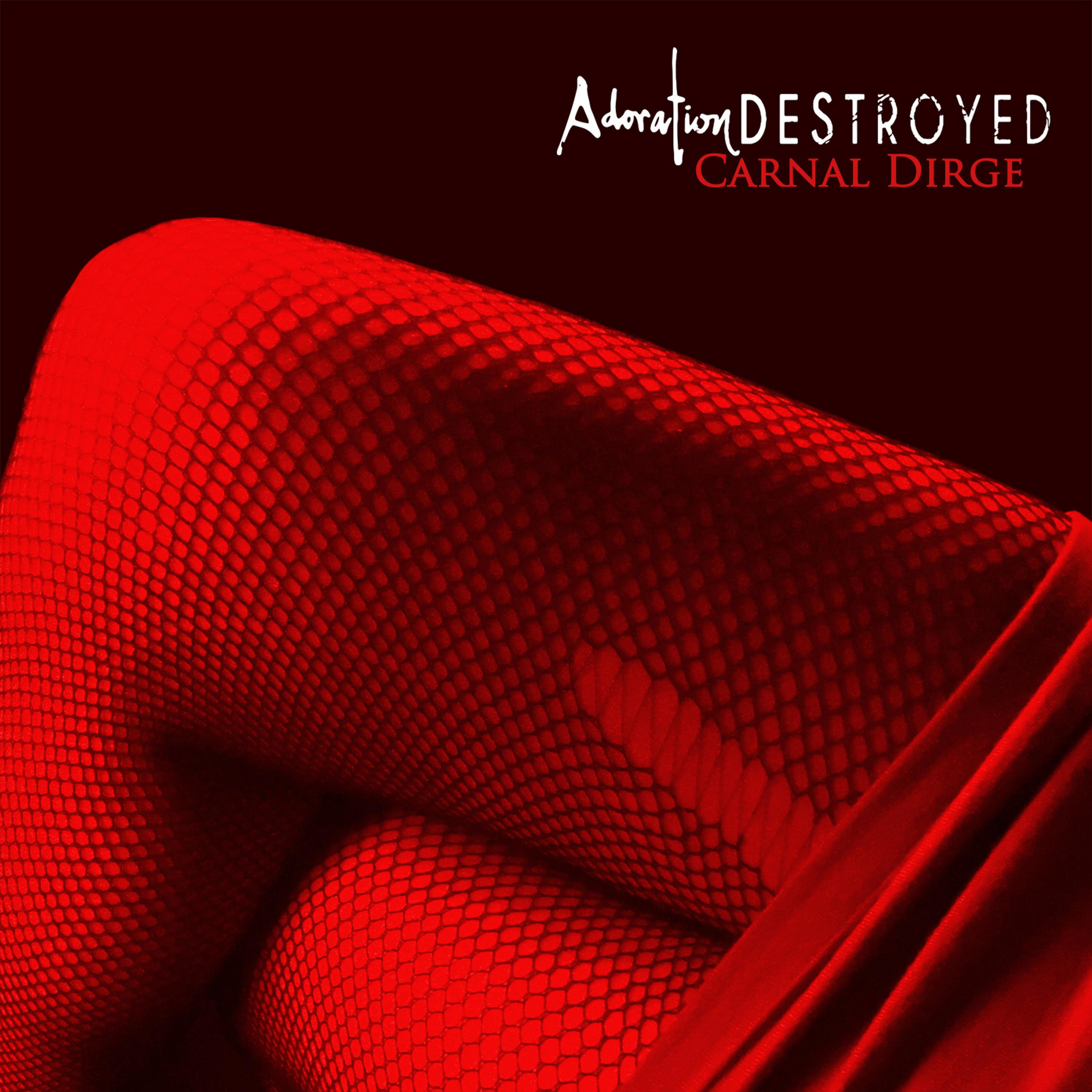 Постер альбома Carnal Dirge