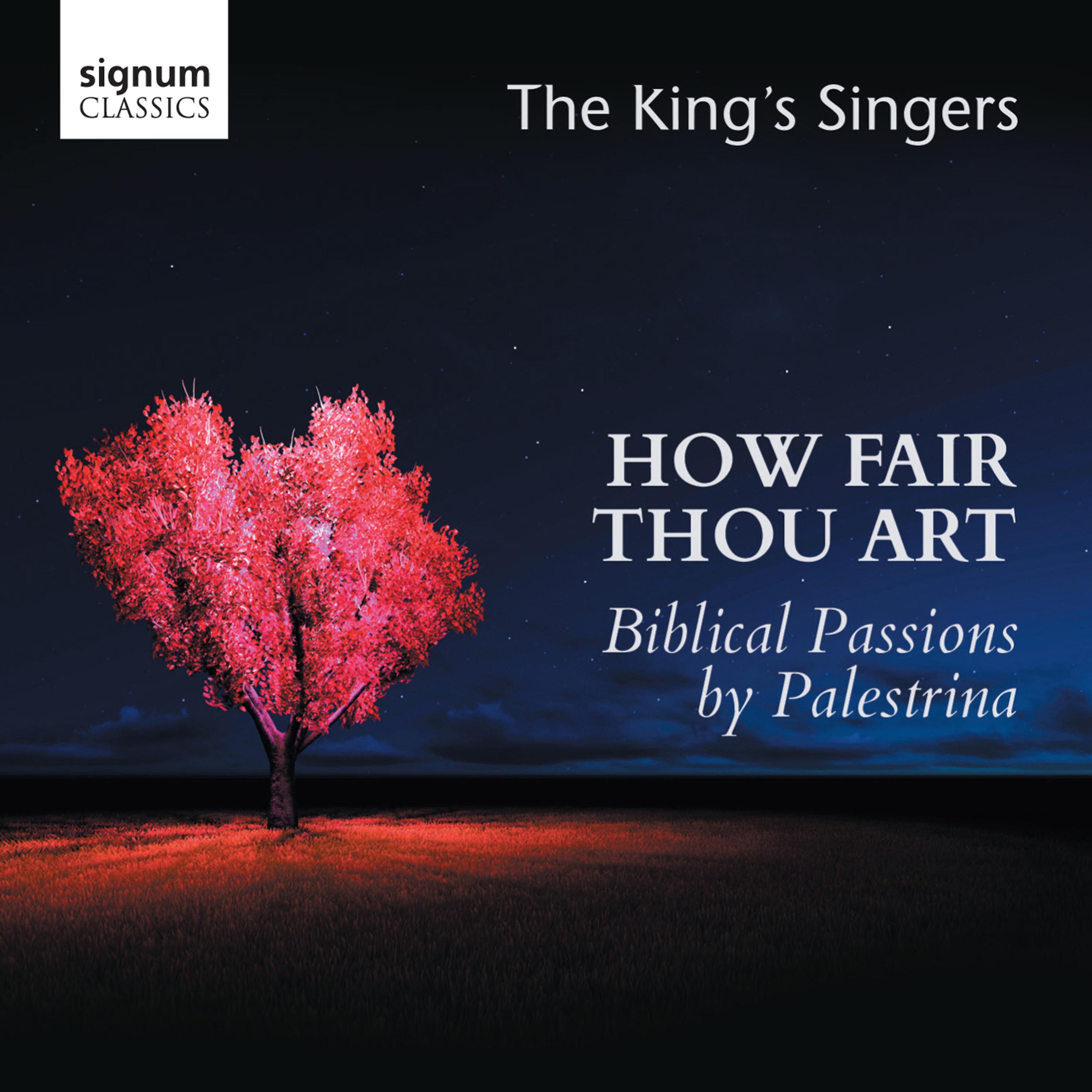 Постер альбома How Fair Thou Art: Biblical Passions by Giovanni Pierluigi da Palestrina