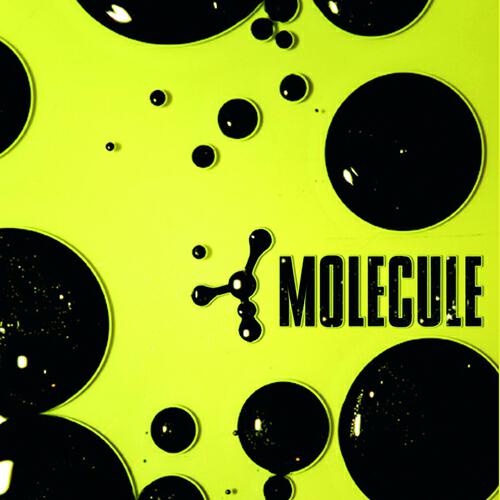 Molecule - We won't stop (Feat Jamalski)