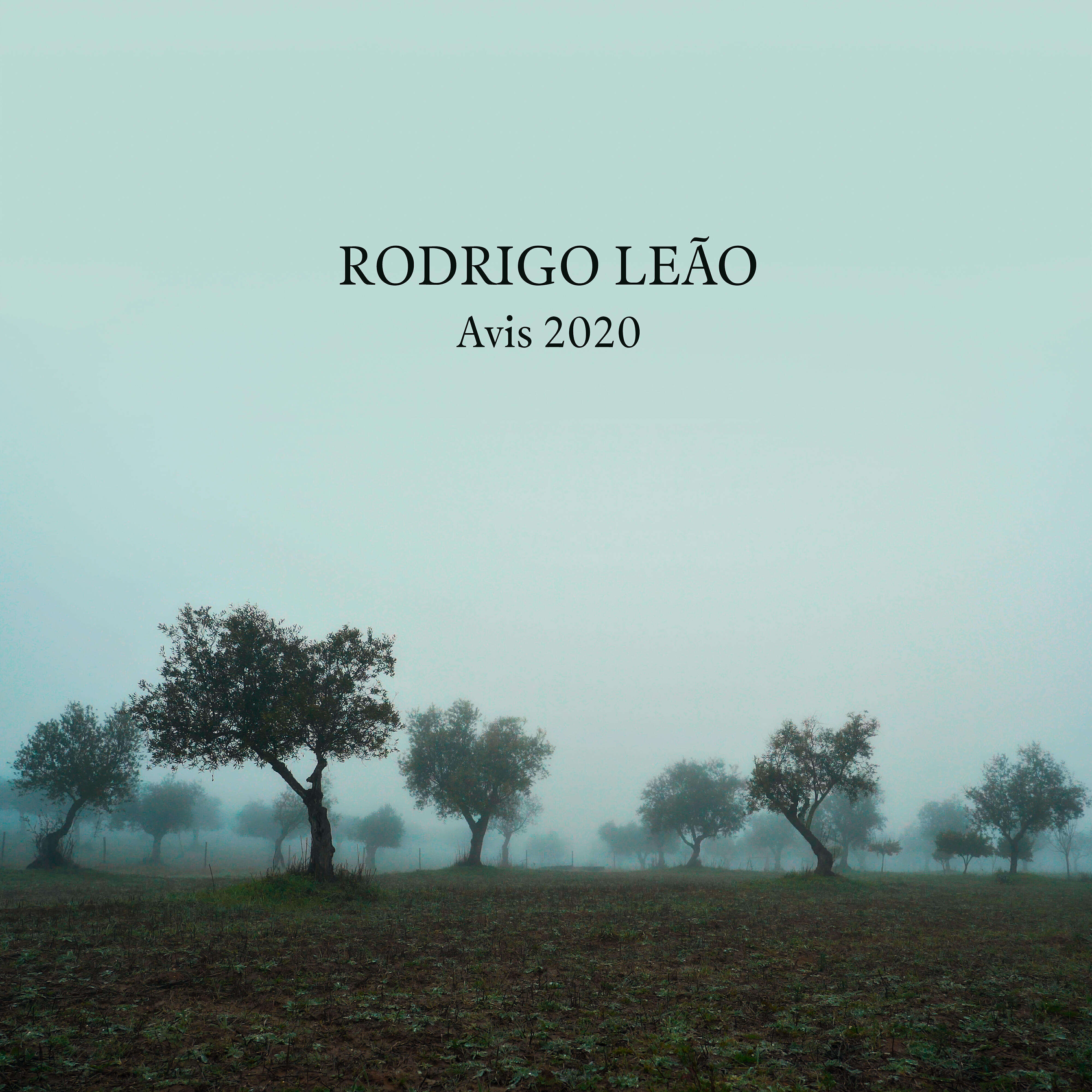 Rodrigo Leao - O Piano de Maio