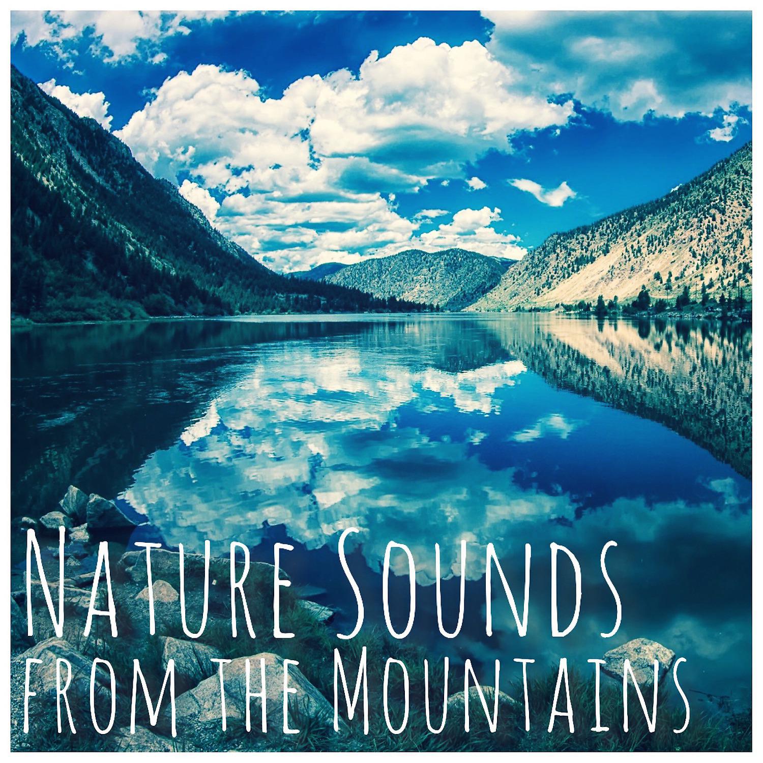 Постер альбома Nature Sounds from the Mountains