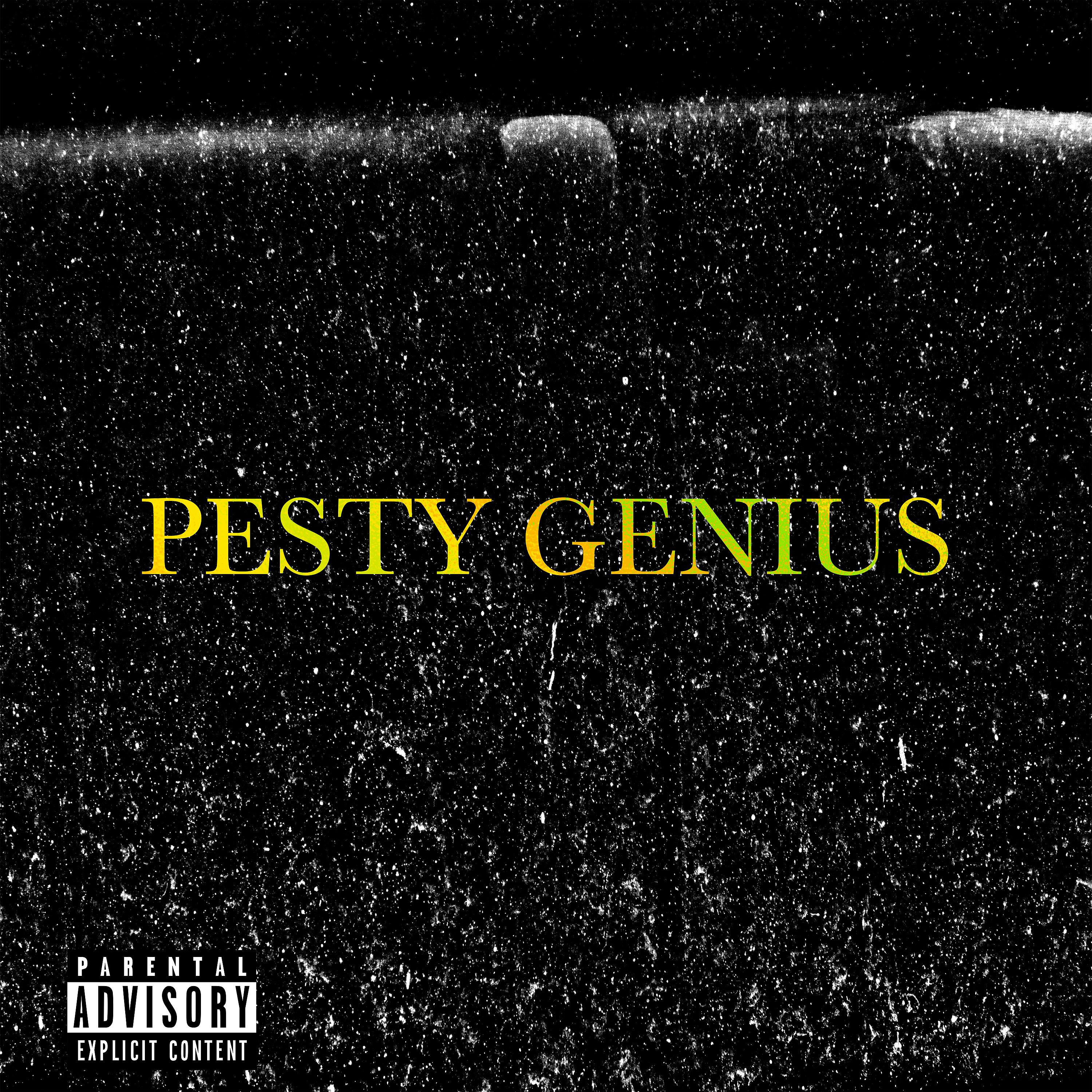 Постер альбома Pesty Genius