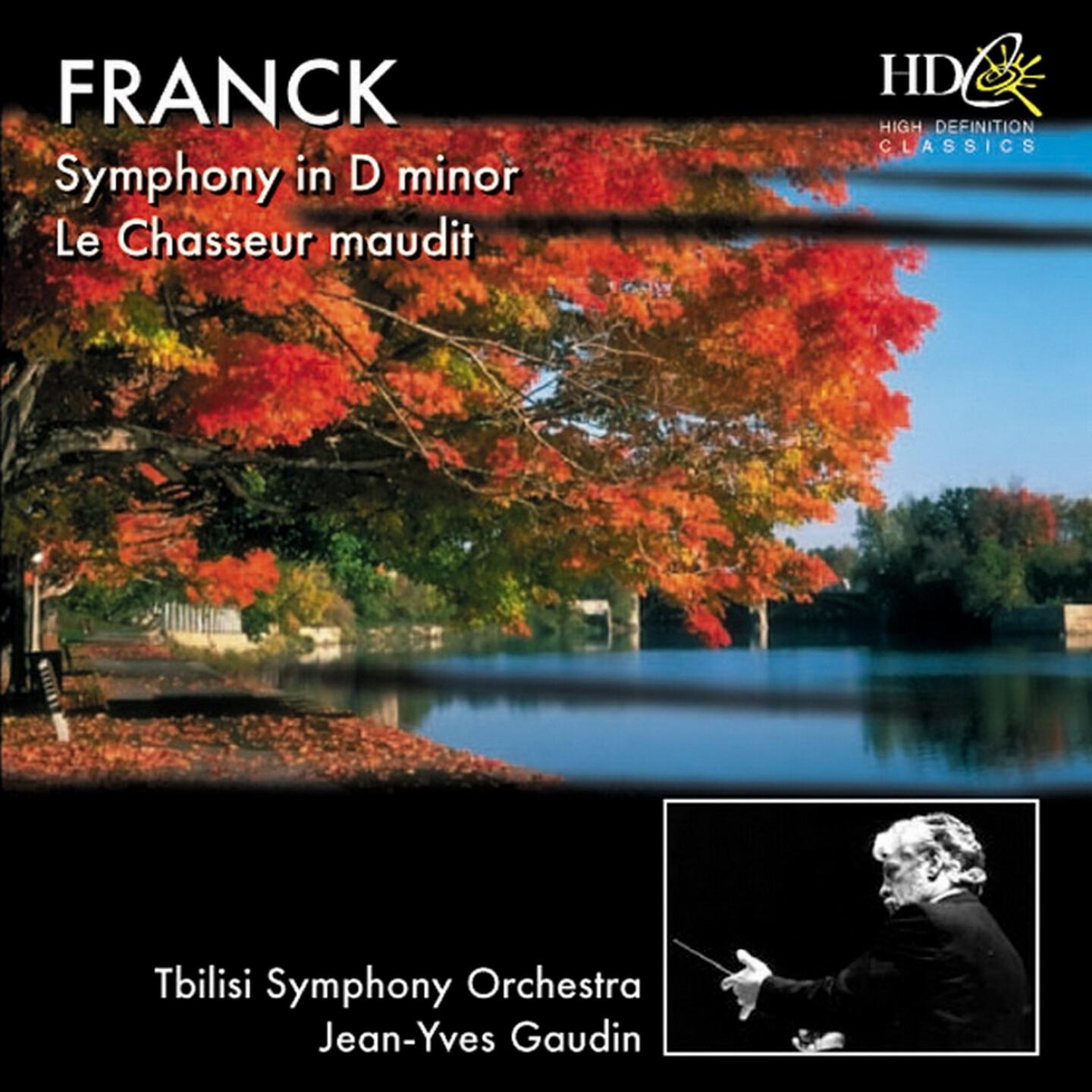 Tbilisi Symphony Orchestra - Symphony in D Minor : I. Lento - Allegro non troppo