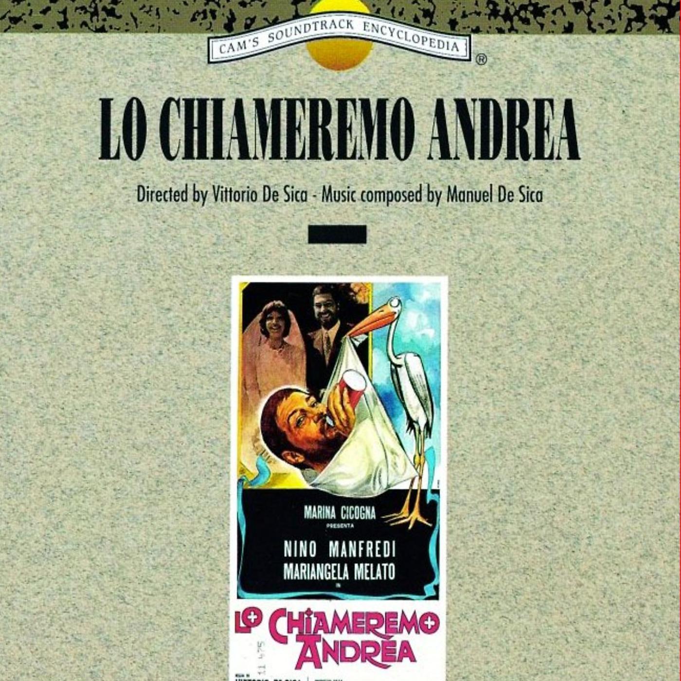 Постер альбома Lo chiameremo Andrea