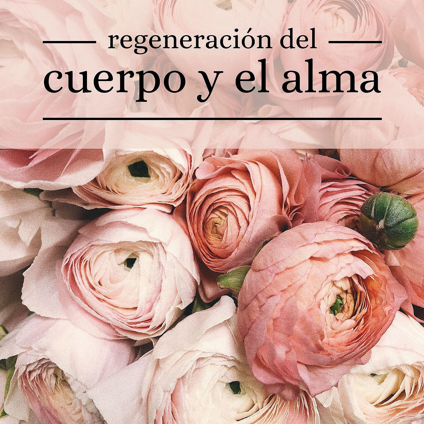 Relajacion Ariel - Los Colores del Alma