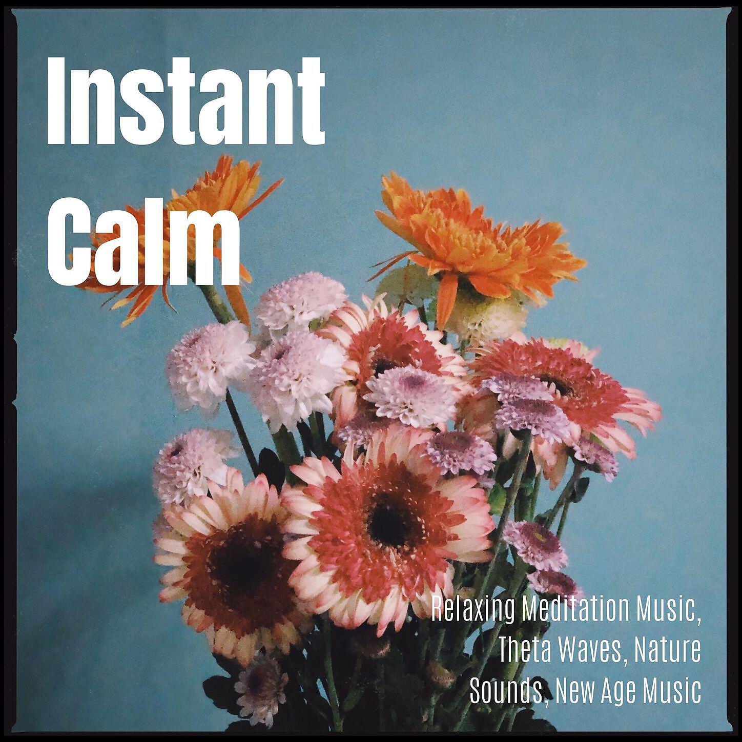 Wellness Spirit - Magical Moments