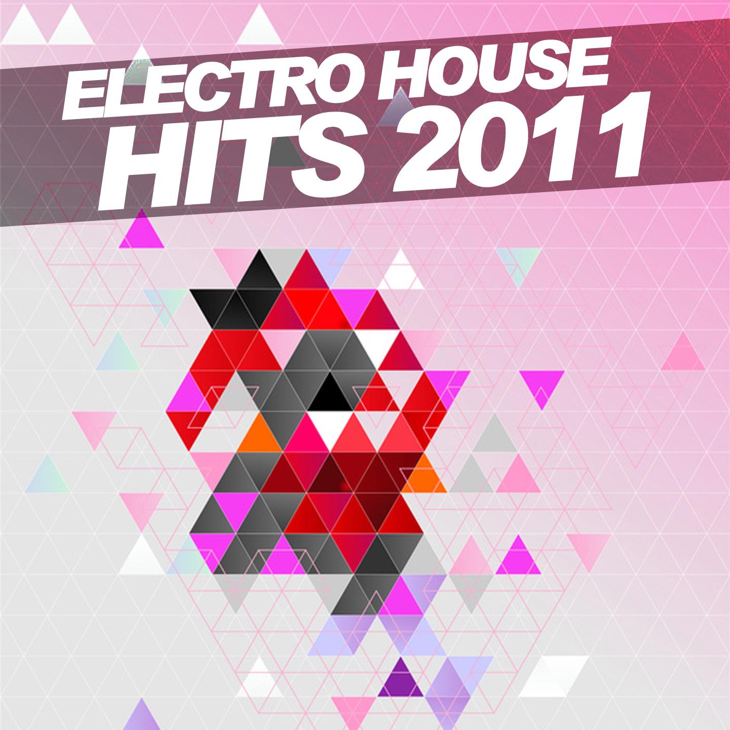 Постер альбома Electro House Hits 2011