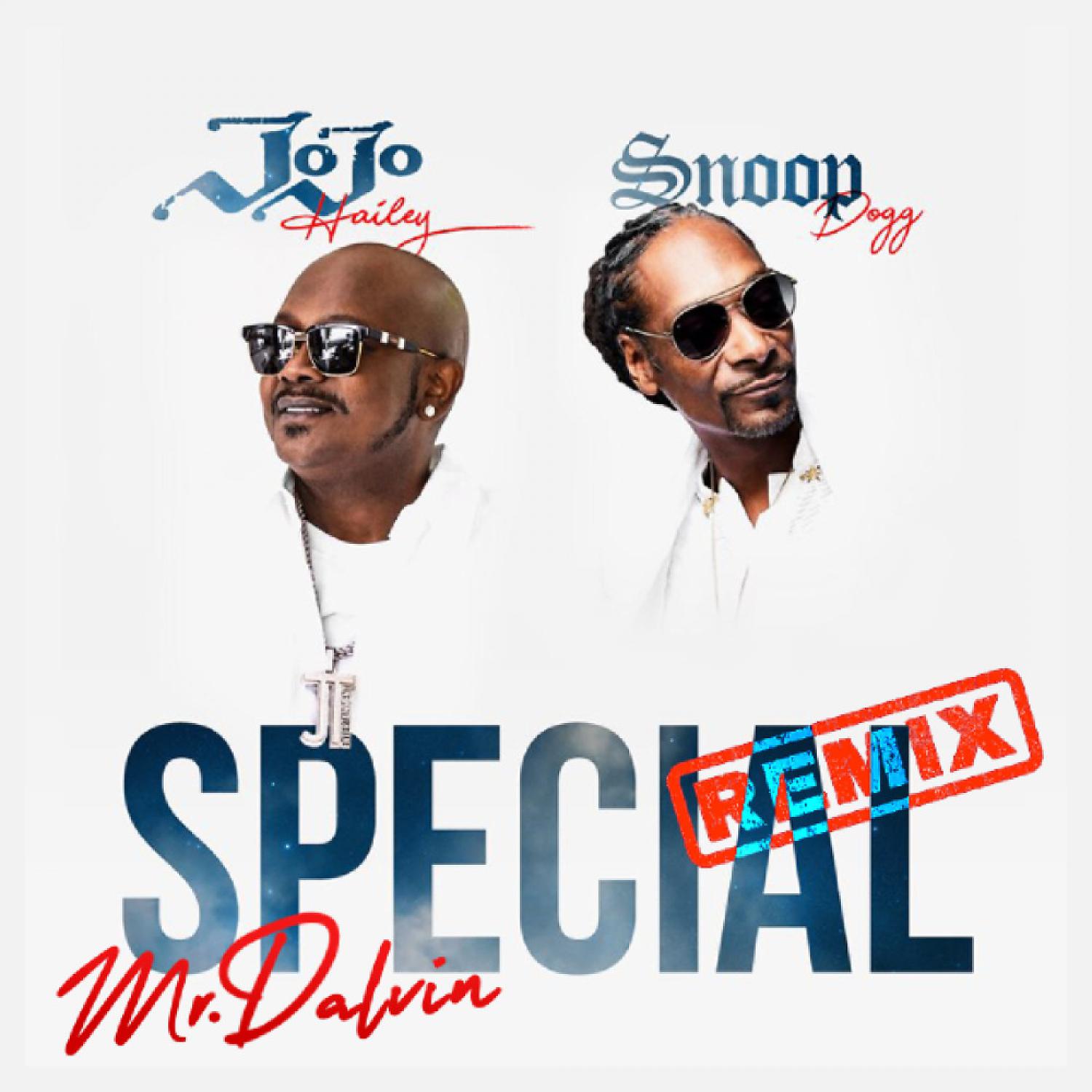 Постер альбома Special (feat. Snoop Dogg) [Mr. Dalvin Remix]
