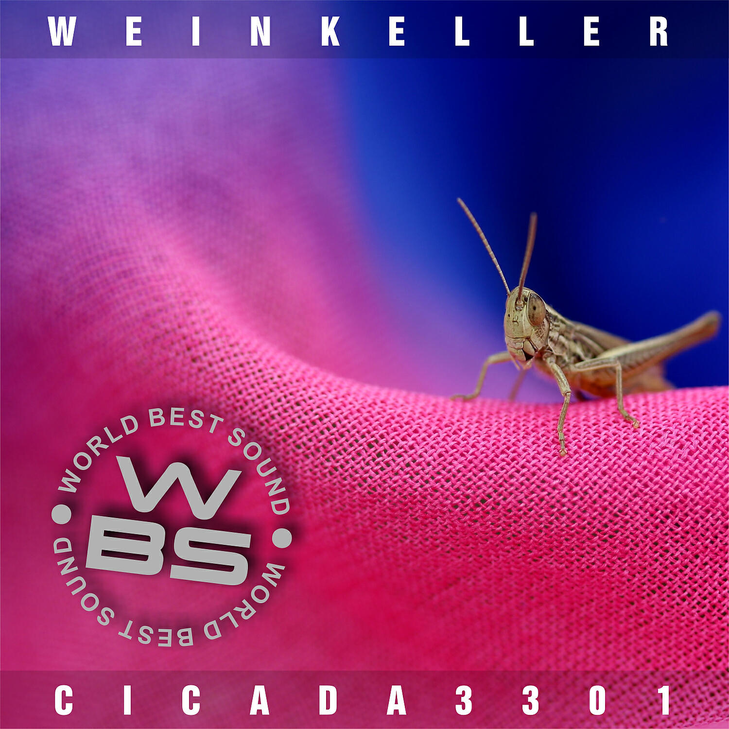 WBS - Cicada3301