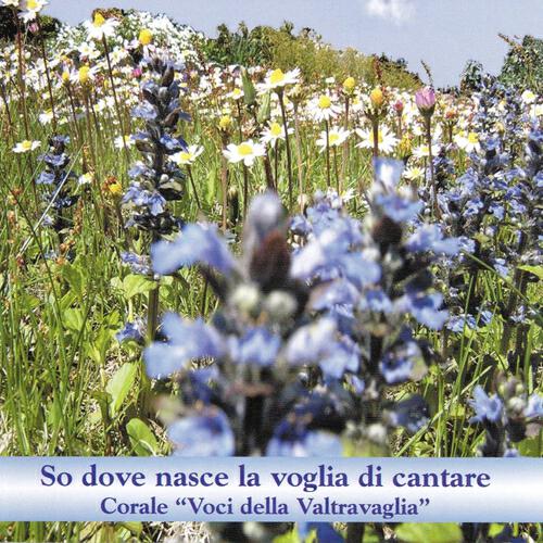 Nuova Schola Cantorum di Montegrino - Fiore di manuela