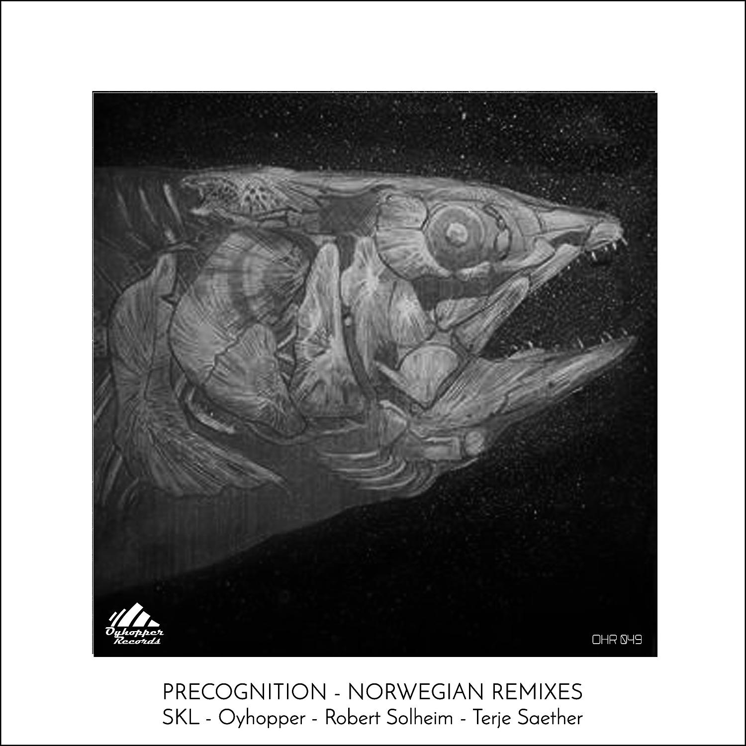 Постер альбома Precognition, Norwegian Remixes