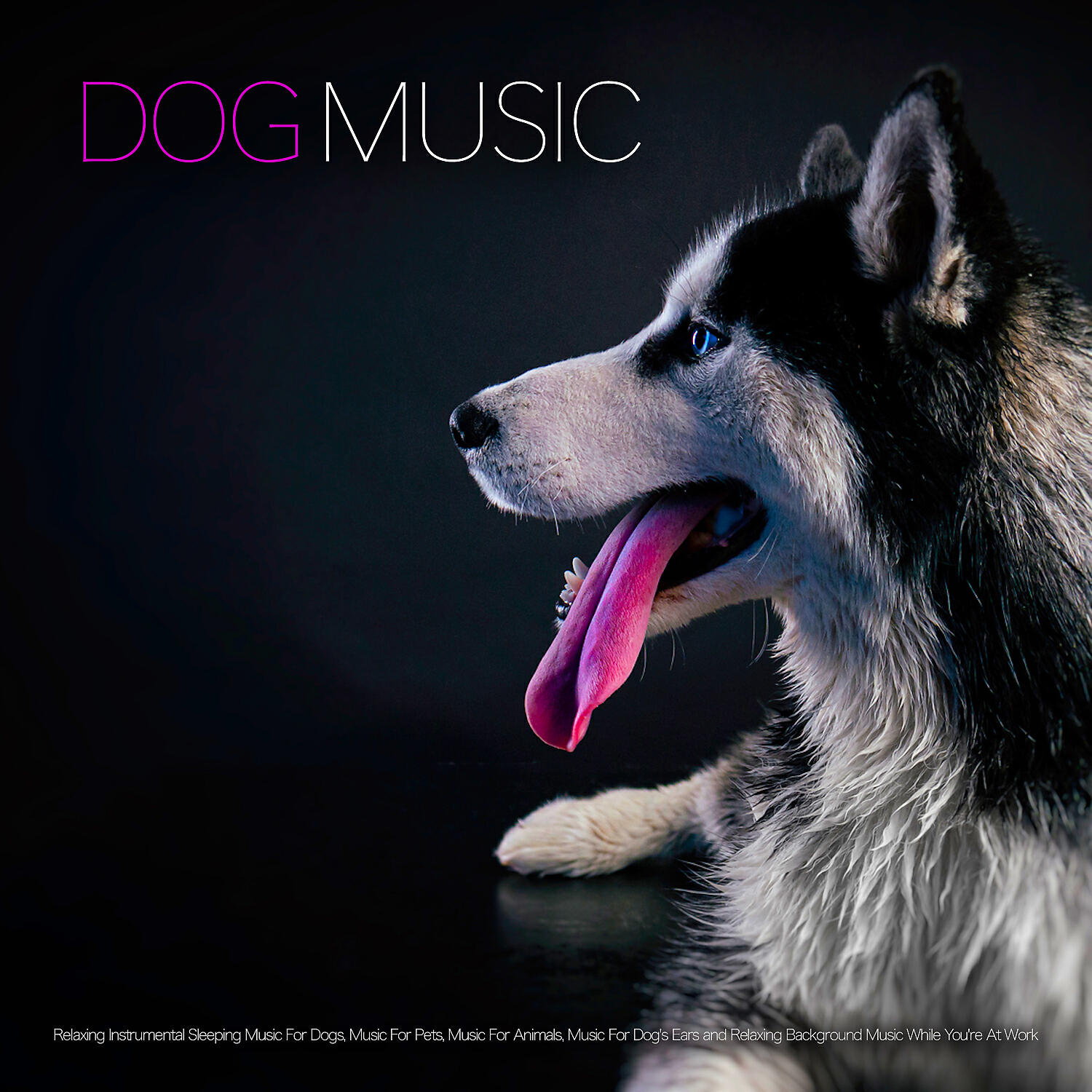 Dog Music - Relaxing Dog Music