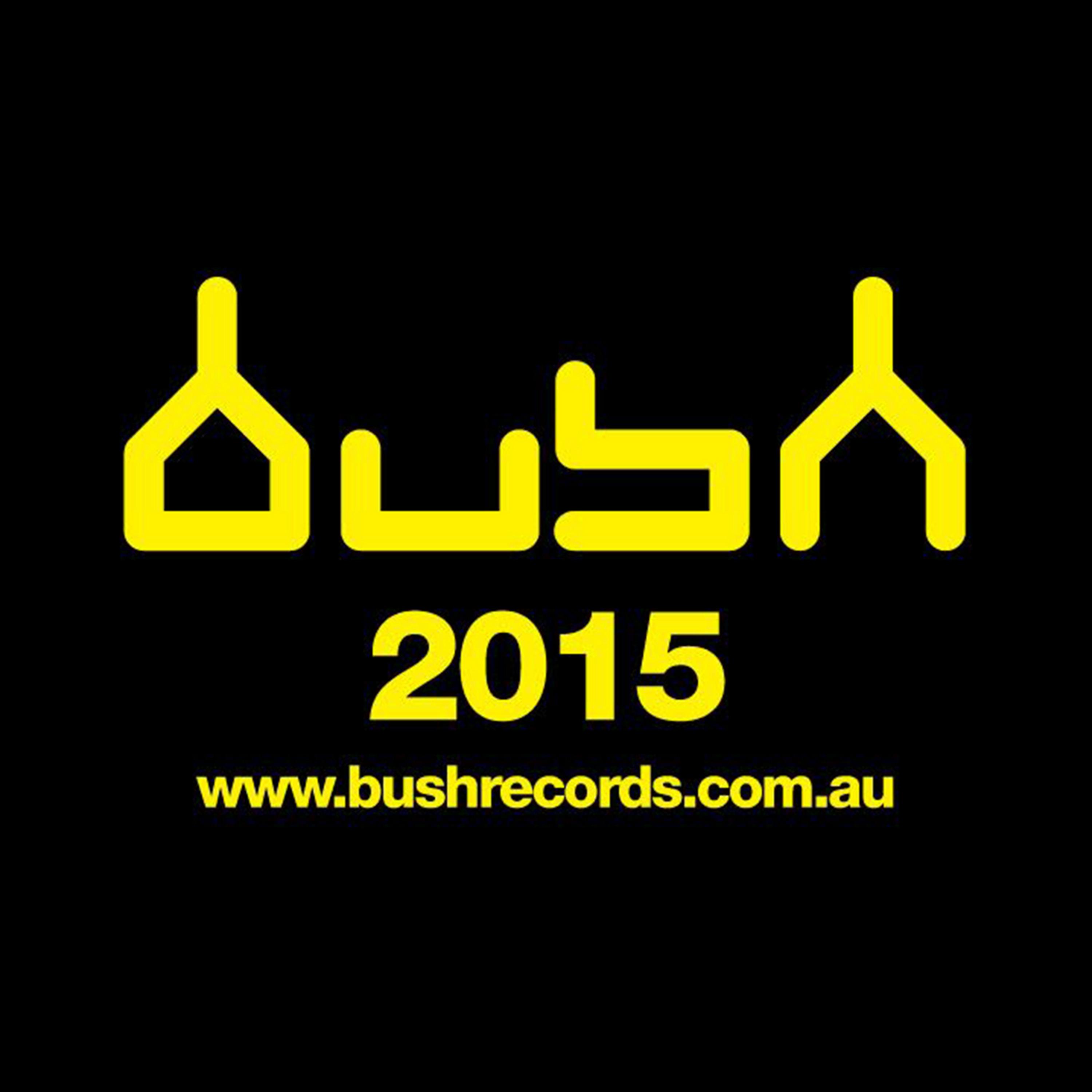 Постер альбома Bush Best of 2015