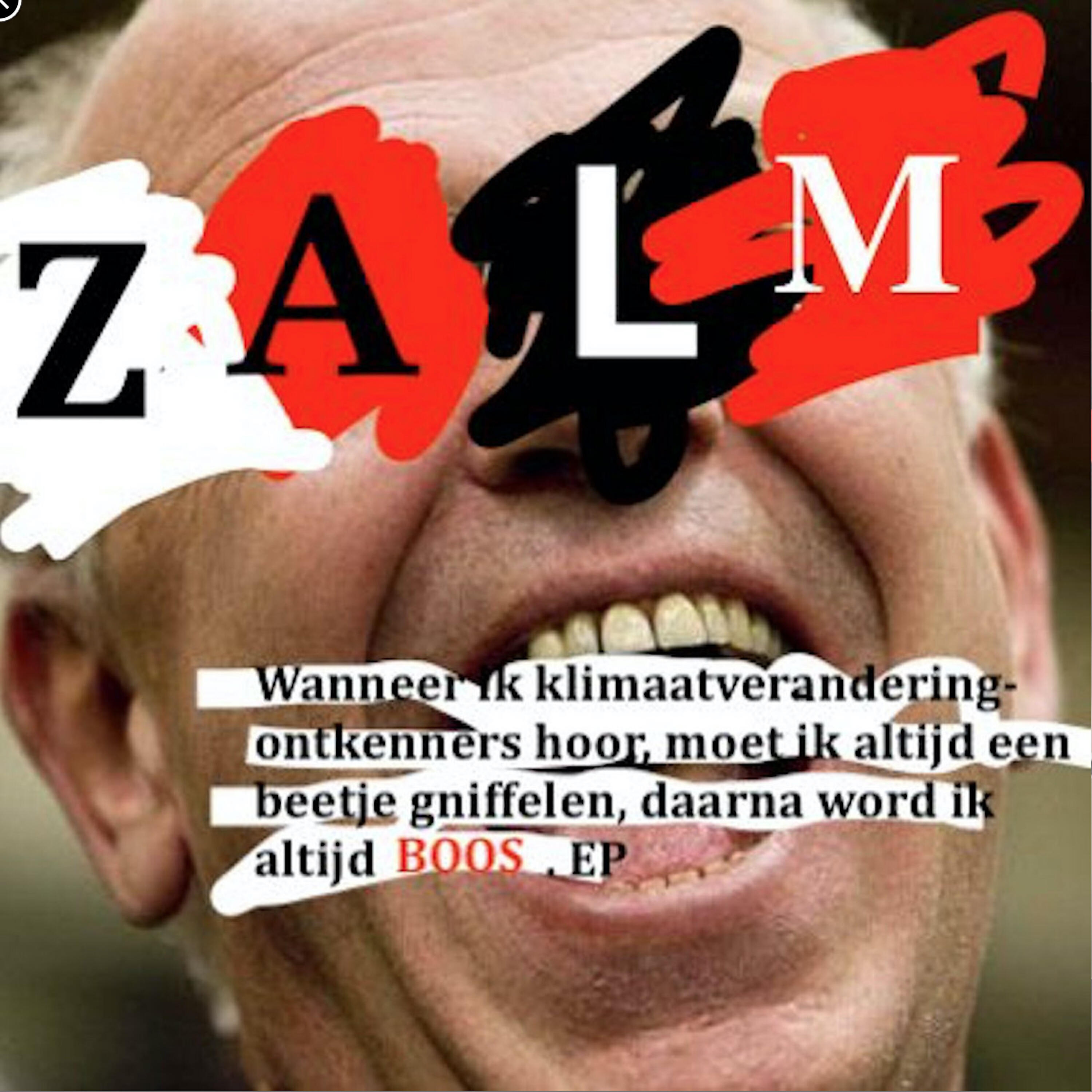 ZALM - When All The Slaughter Begins