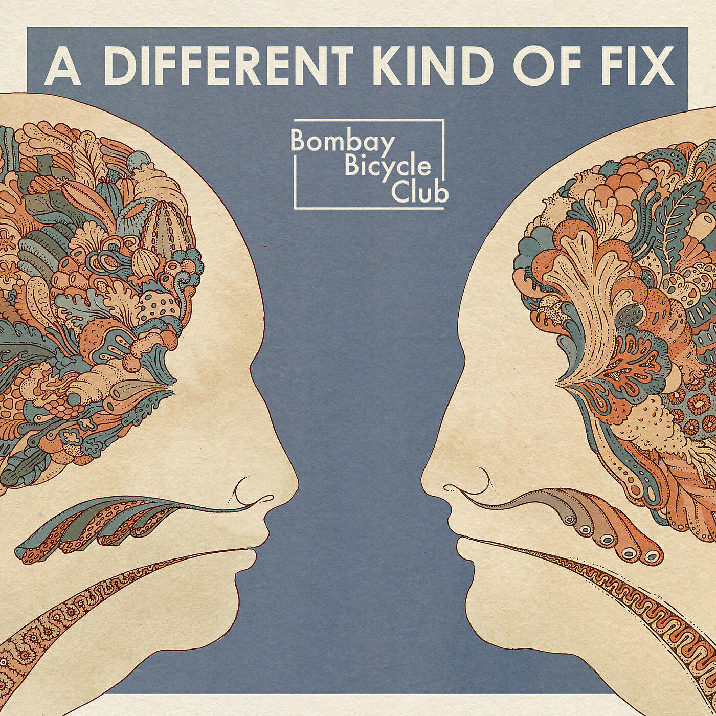 Bombay Bicycle Club - Favourite Day