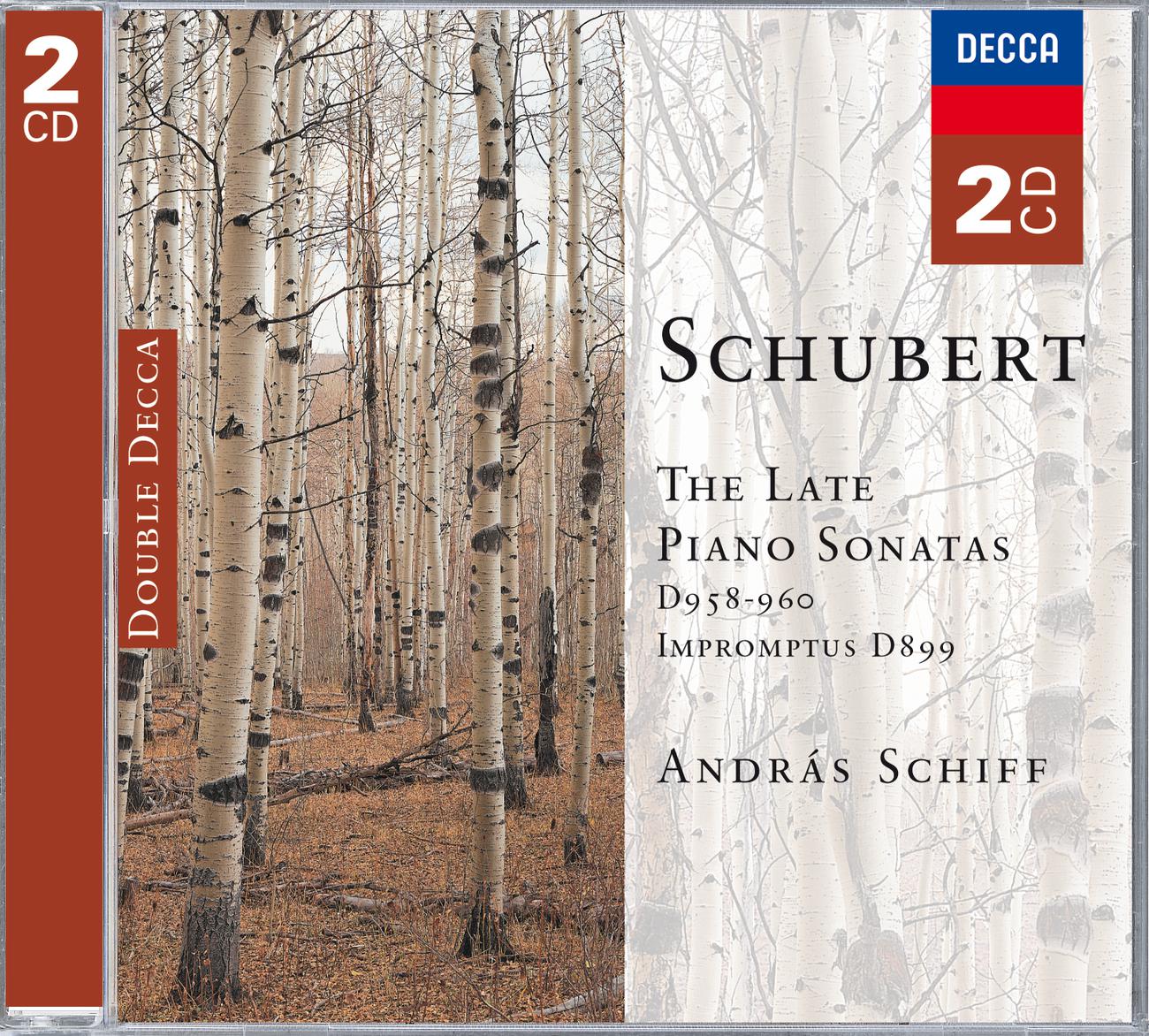 Постер альбома Schubert: The Late Piano Sonatas