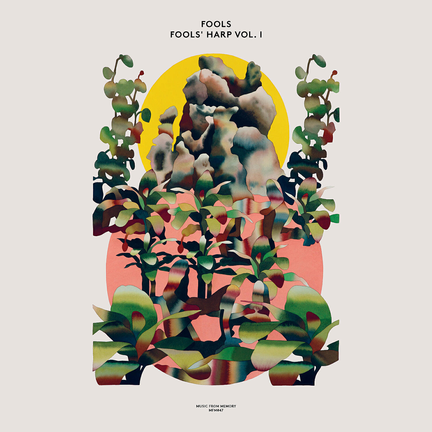 Fools - Limba