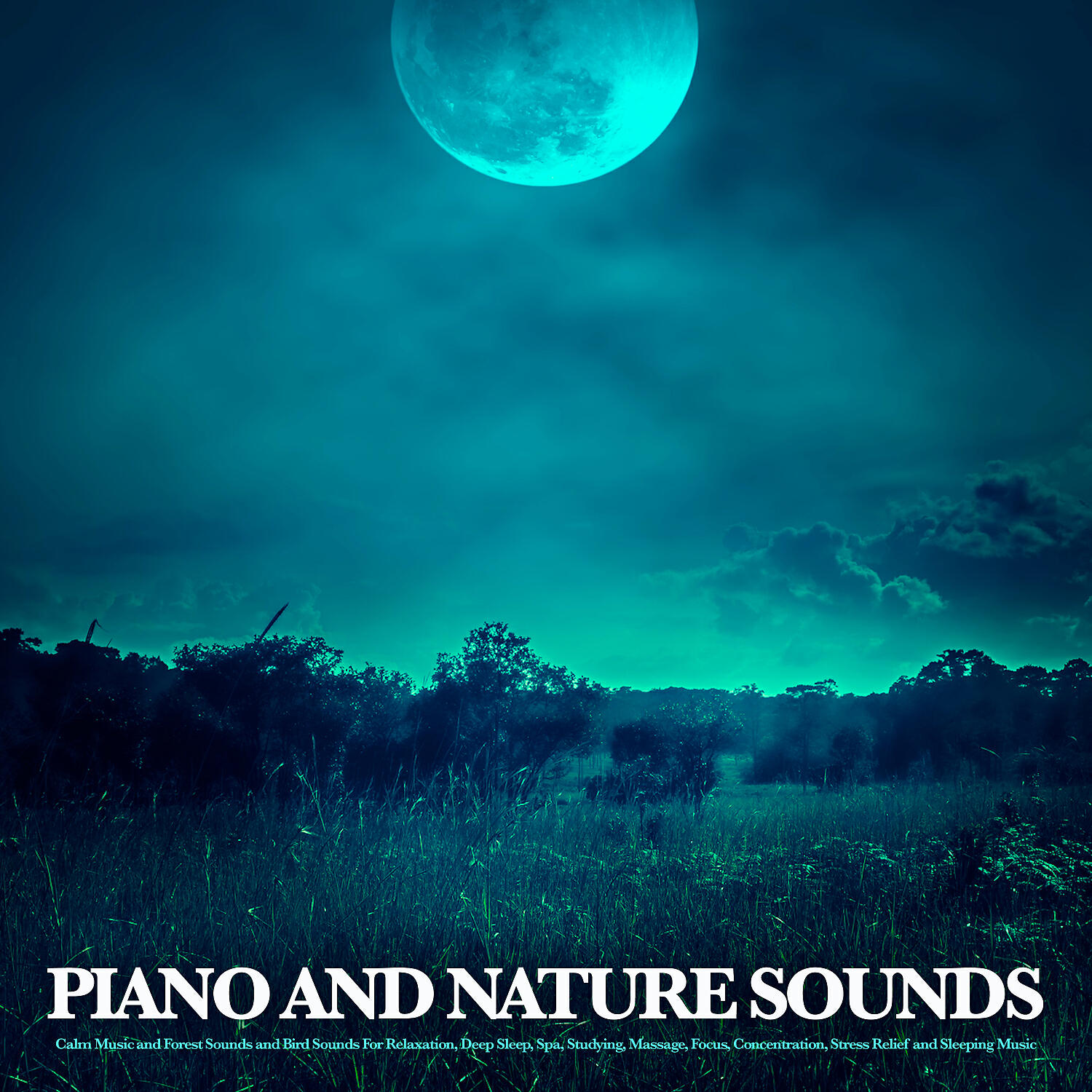 Nature Sounds Nature Music - Calm Music For Reading
