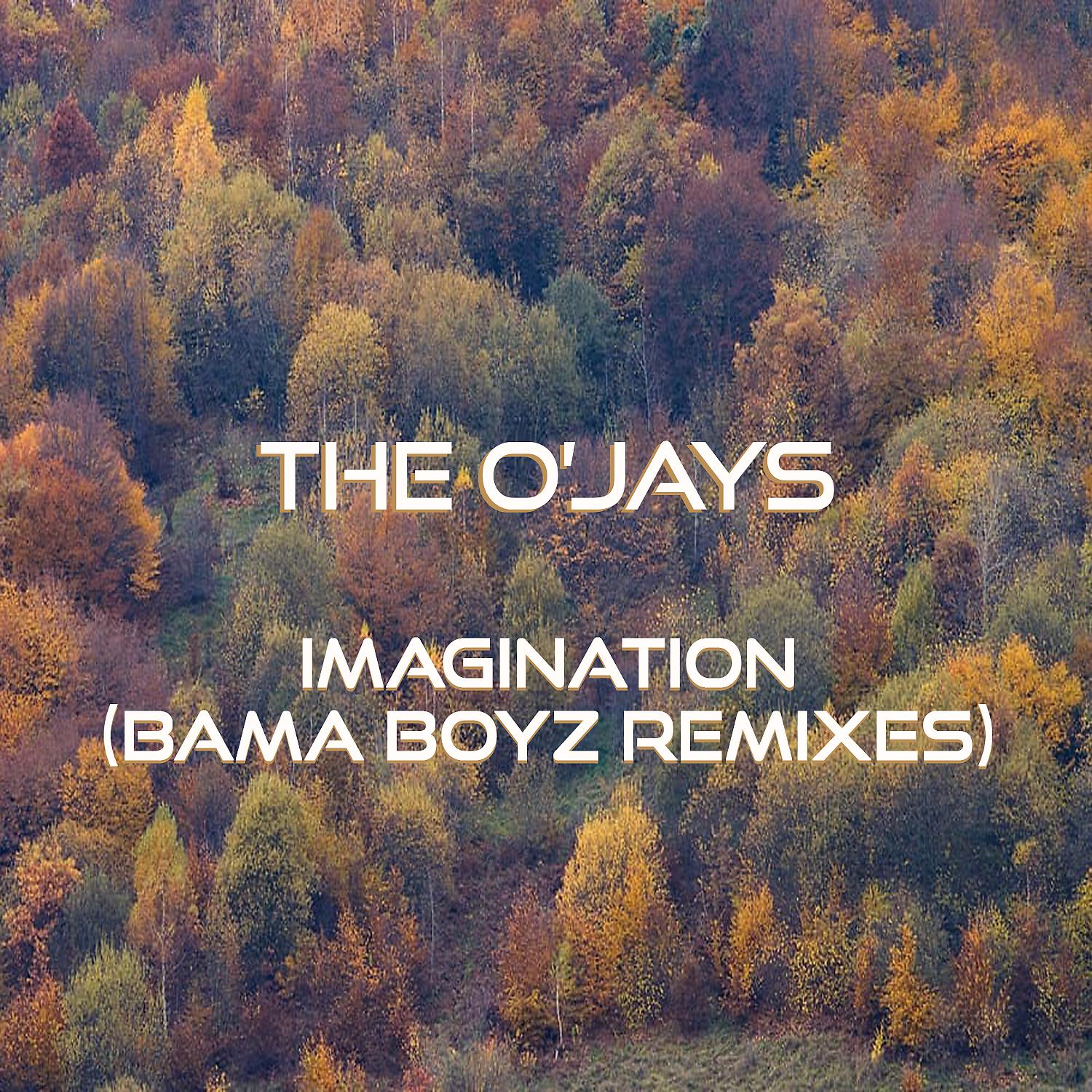 Постер альбома Imagination (Bama Boyz Remixes)
