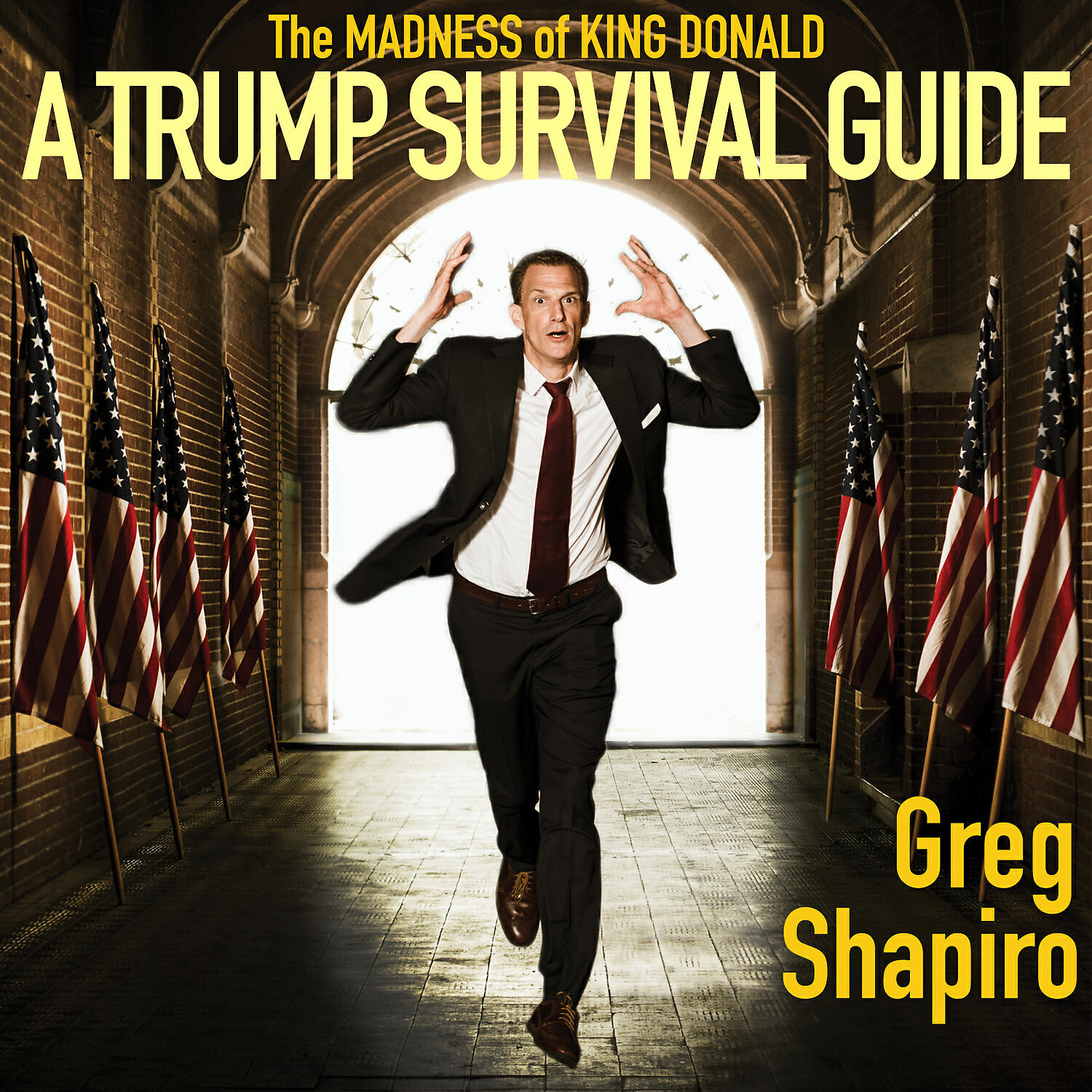 Greg Shapiro - Surviving Trump with the Muppets