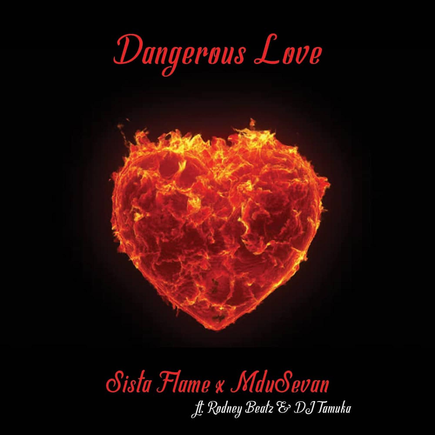 Постер альбома Dangerous Love (feat. Rodney beatz & Dj Tamuka)