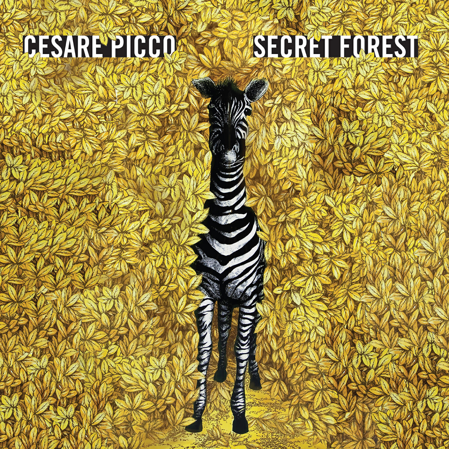 Cesare Picco - Rami