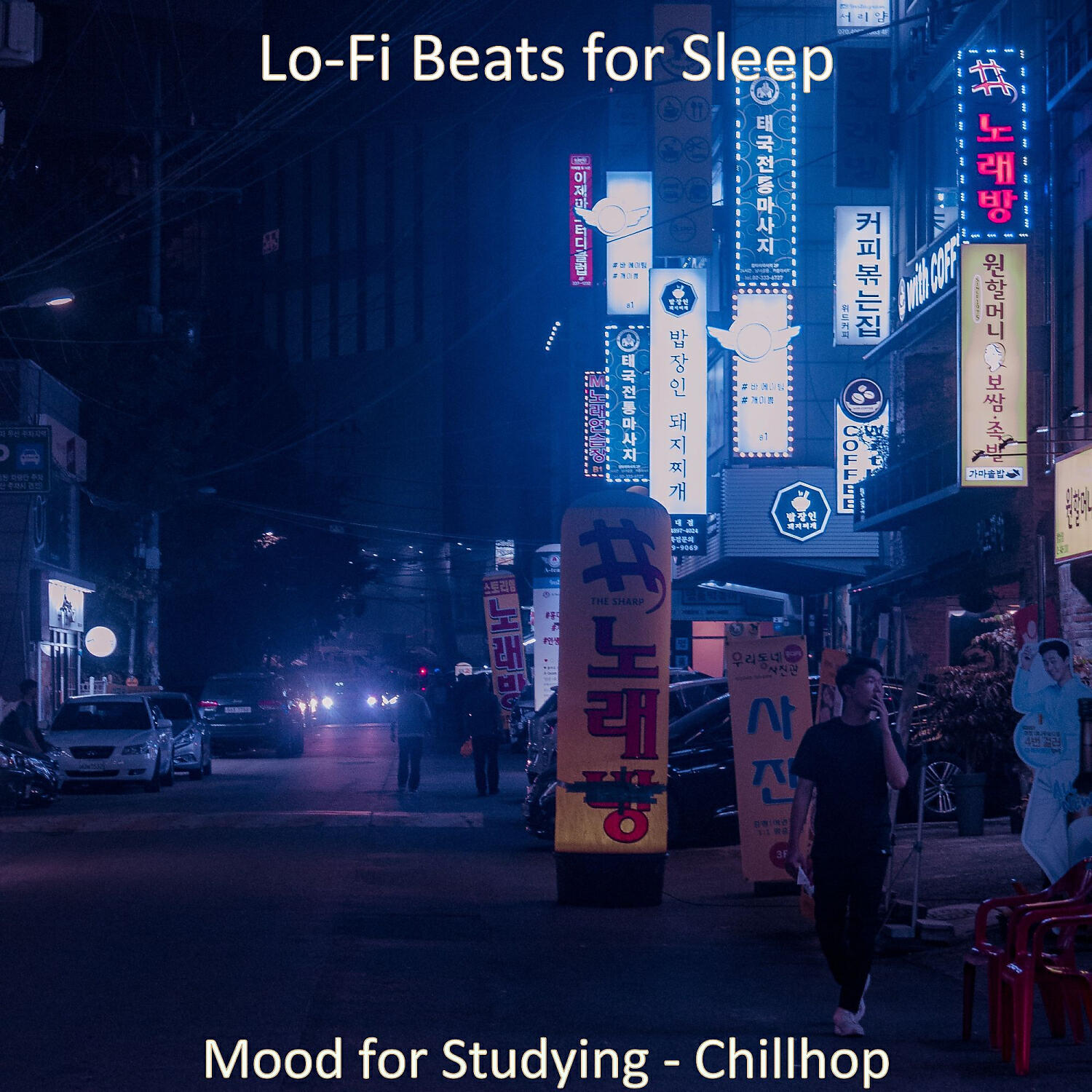 Lo-fi Beats for Sleep - Mood for Studying - Chillhop