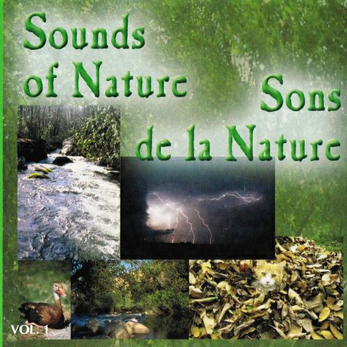 Illustrations Sonores - Oiseaux en Normandie 3