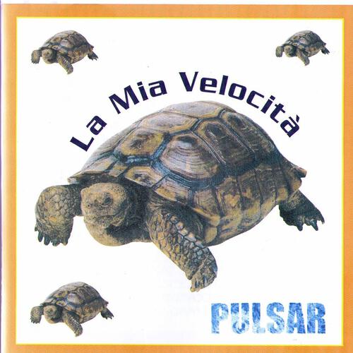 Jocelyn Pulsar - Micro-onde