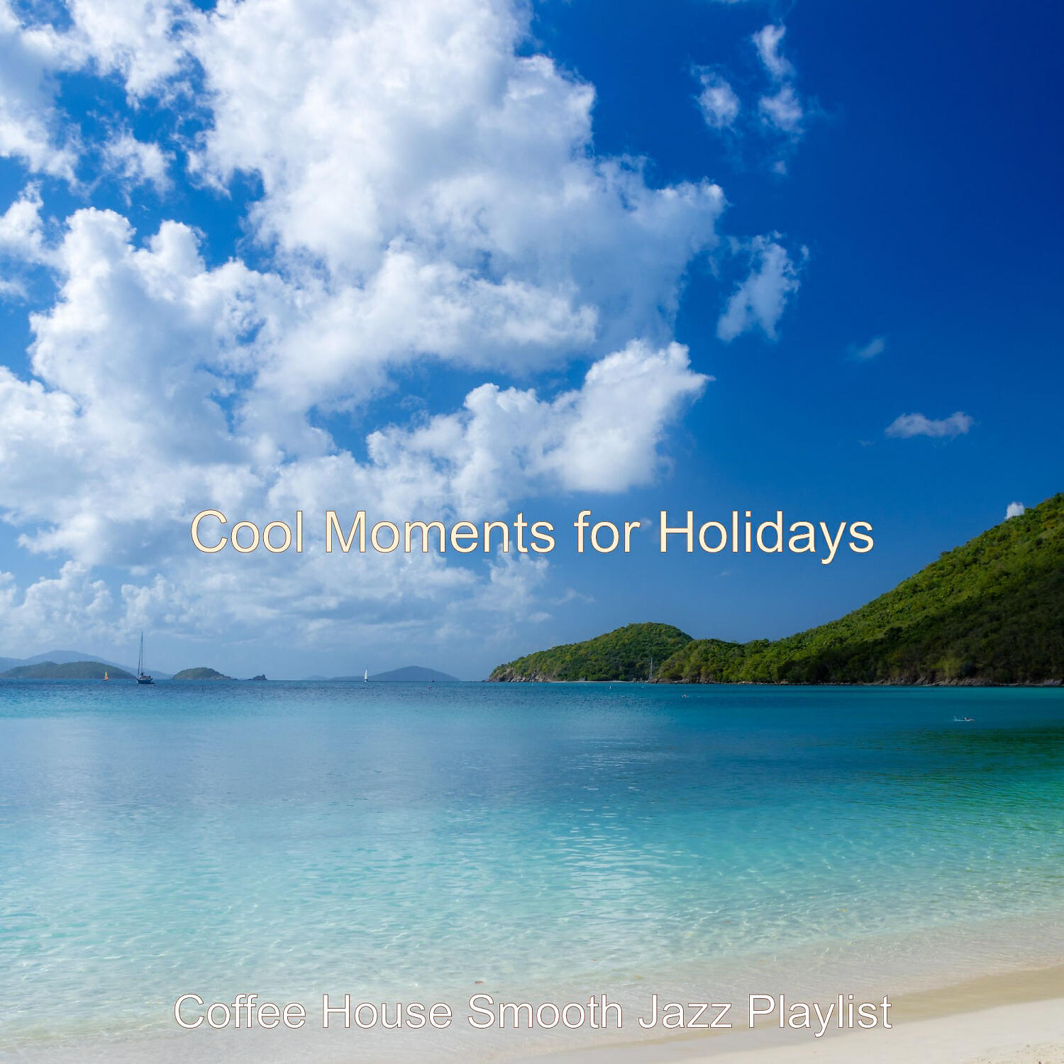 Coffee House Smooth Jazz Playlist - Mood for Summer Days - Acoustic Bass Solo