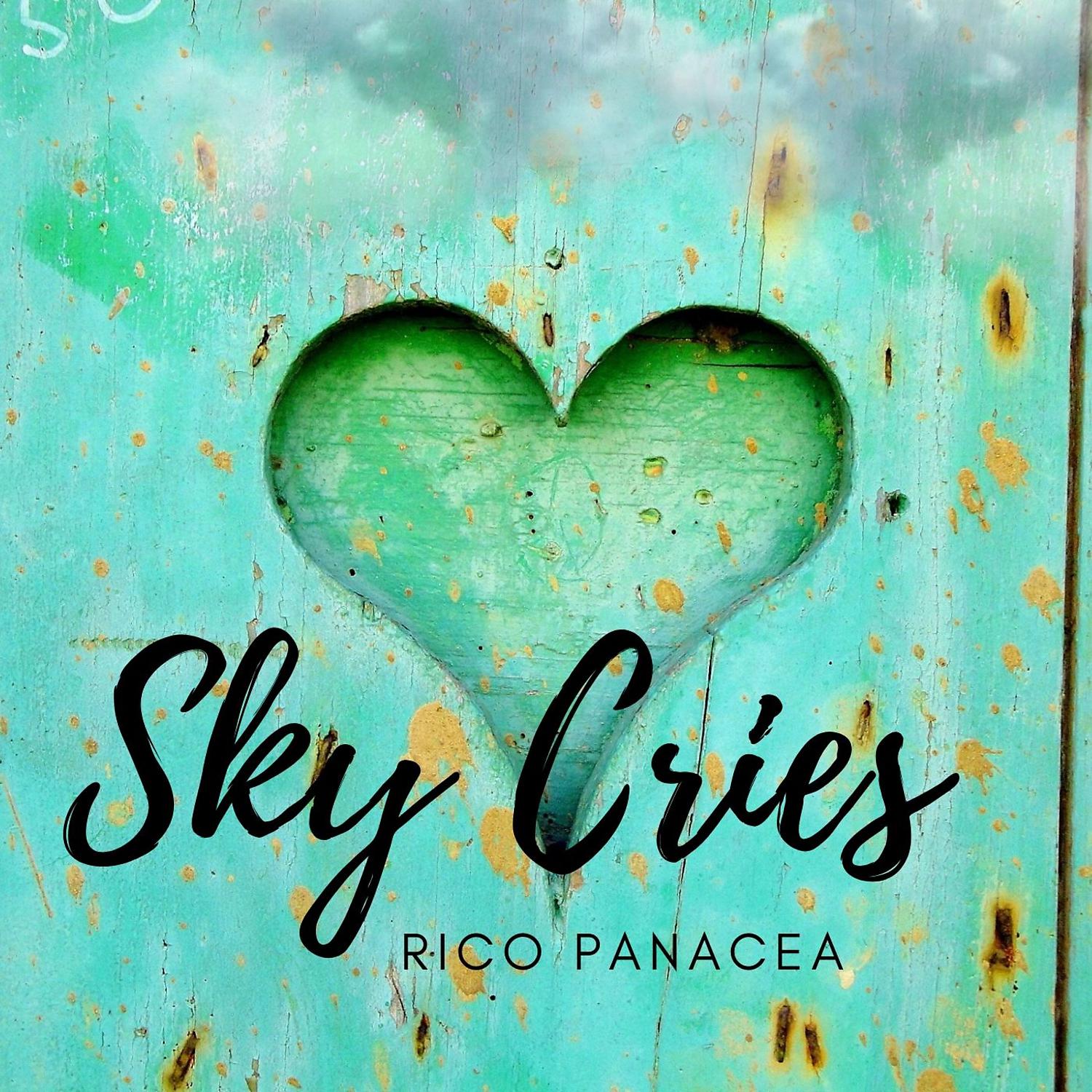 Постер альбома Sky Cries