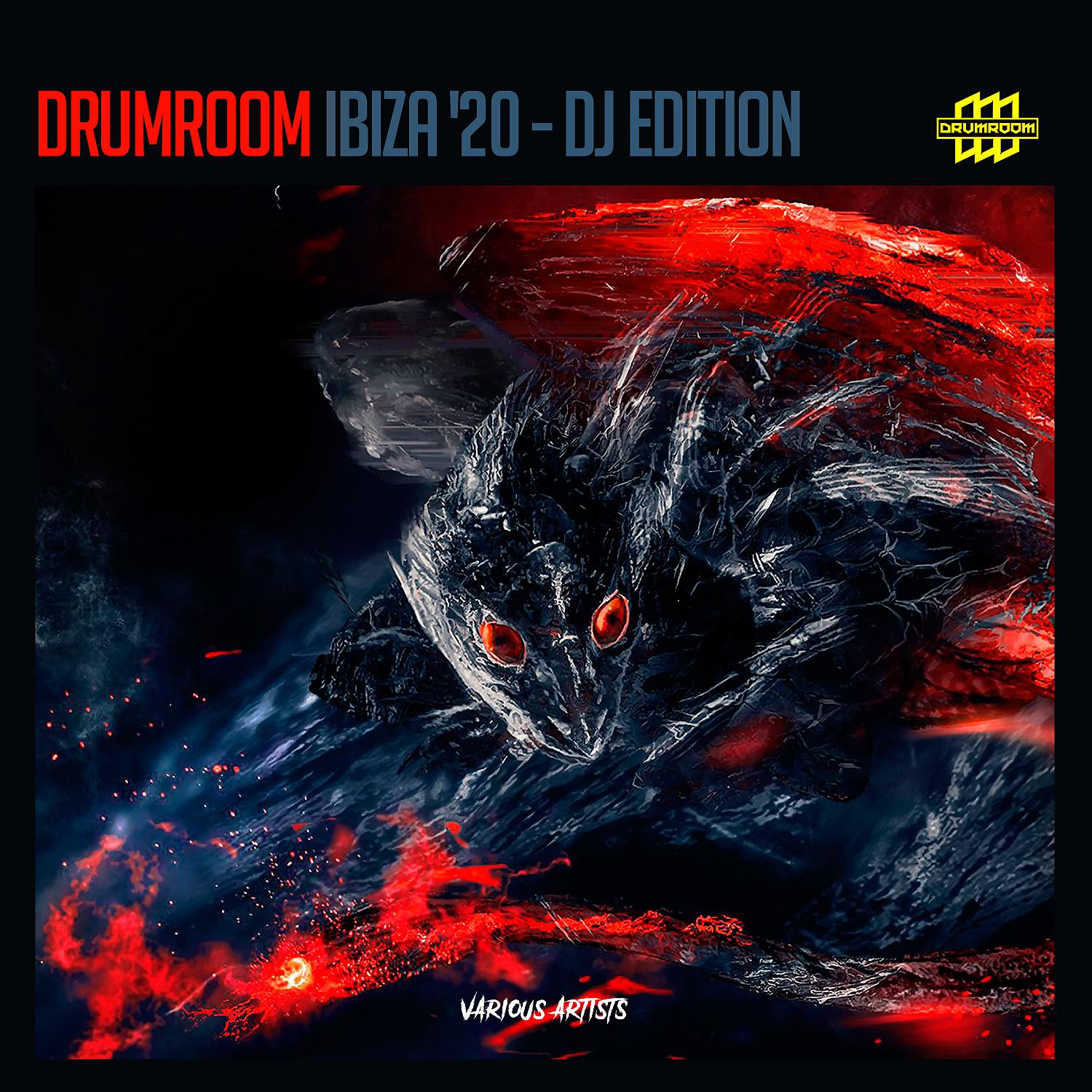 Постер альбома Drumroom Ibiza '20 - DJ Edition