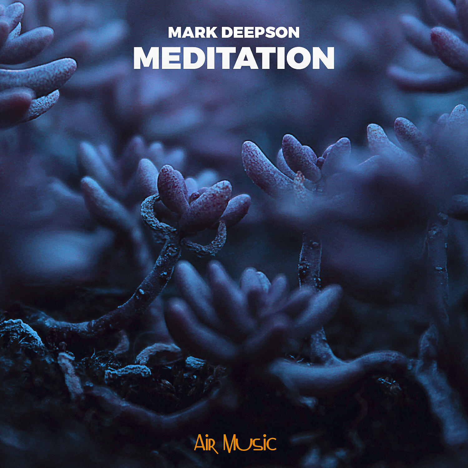 Mark Deepson - In The Depths Of The Ocean