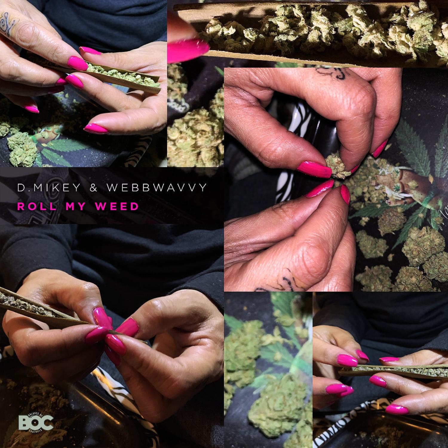 Постер альбома Roll My Weed