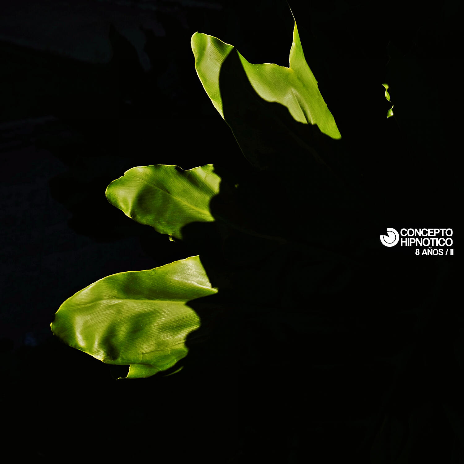 Crown (ARG) - Edge Of Limit (Original Mix)