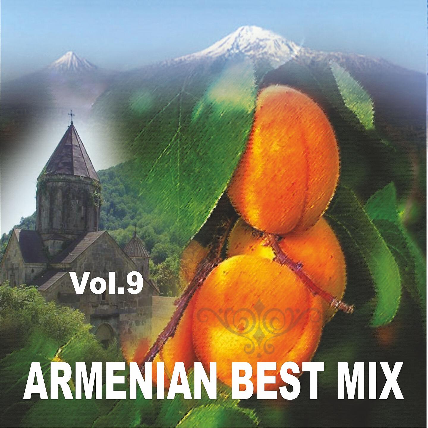 Aram Movsisyan - Guce Haskanas