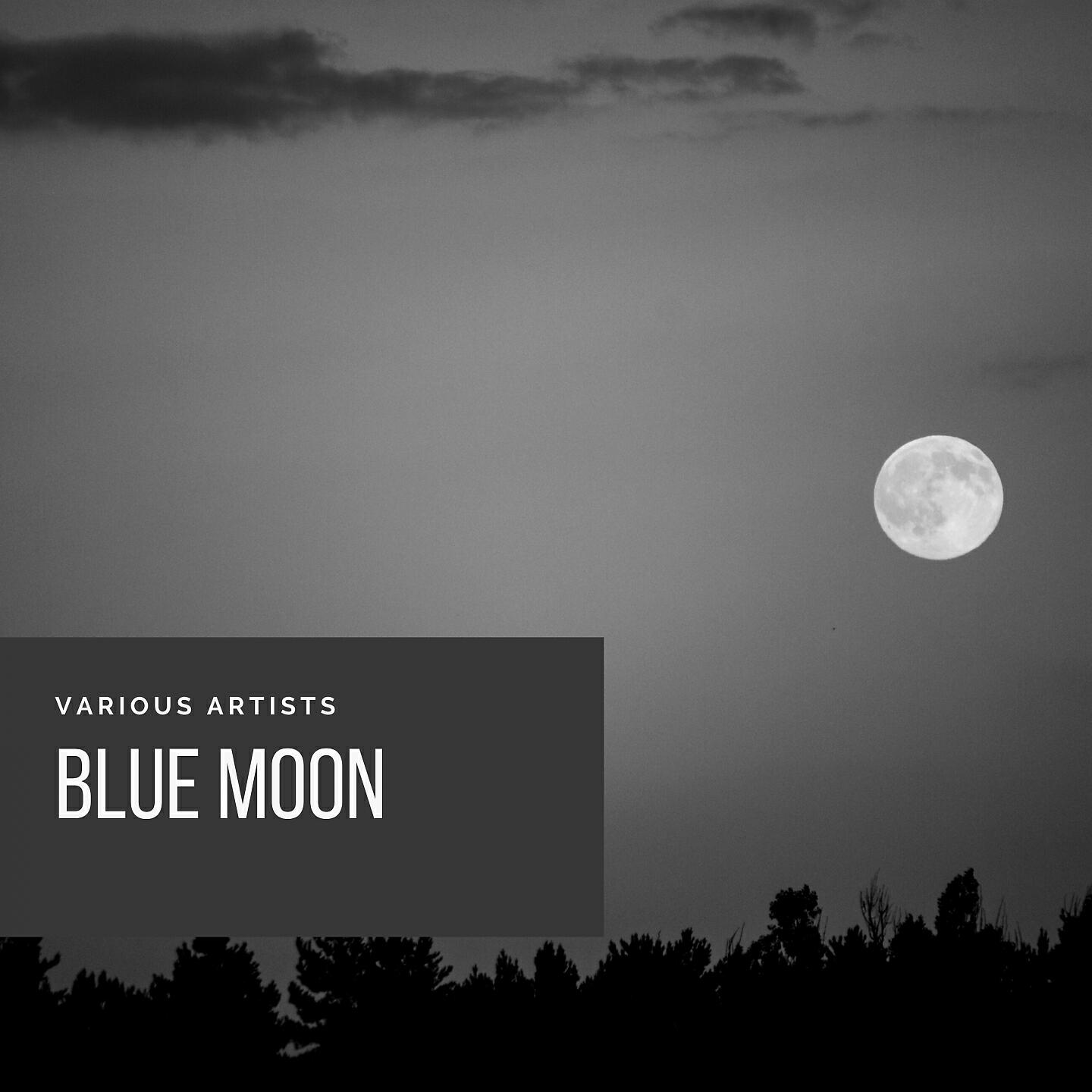 The Dave Brubeck Trio - Blue Moon (1949)