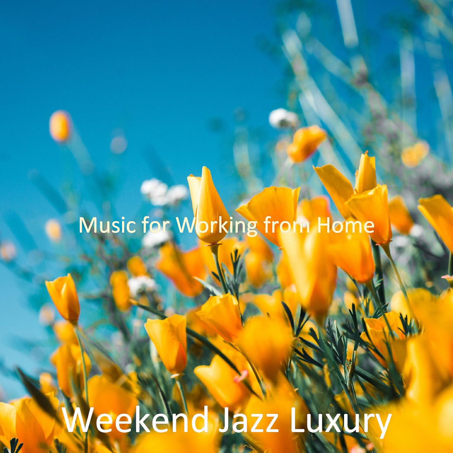 Weekend Jazz Luxury - Playful Bossanova - Background for Dreaming of Travels