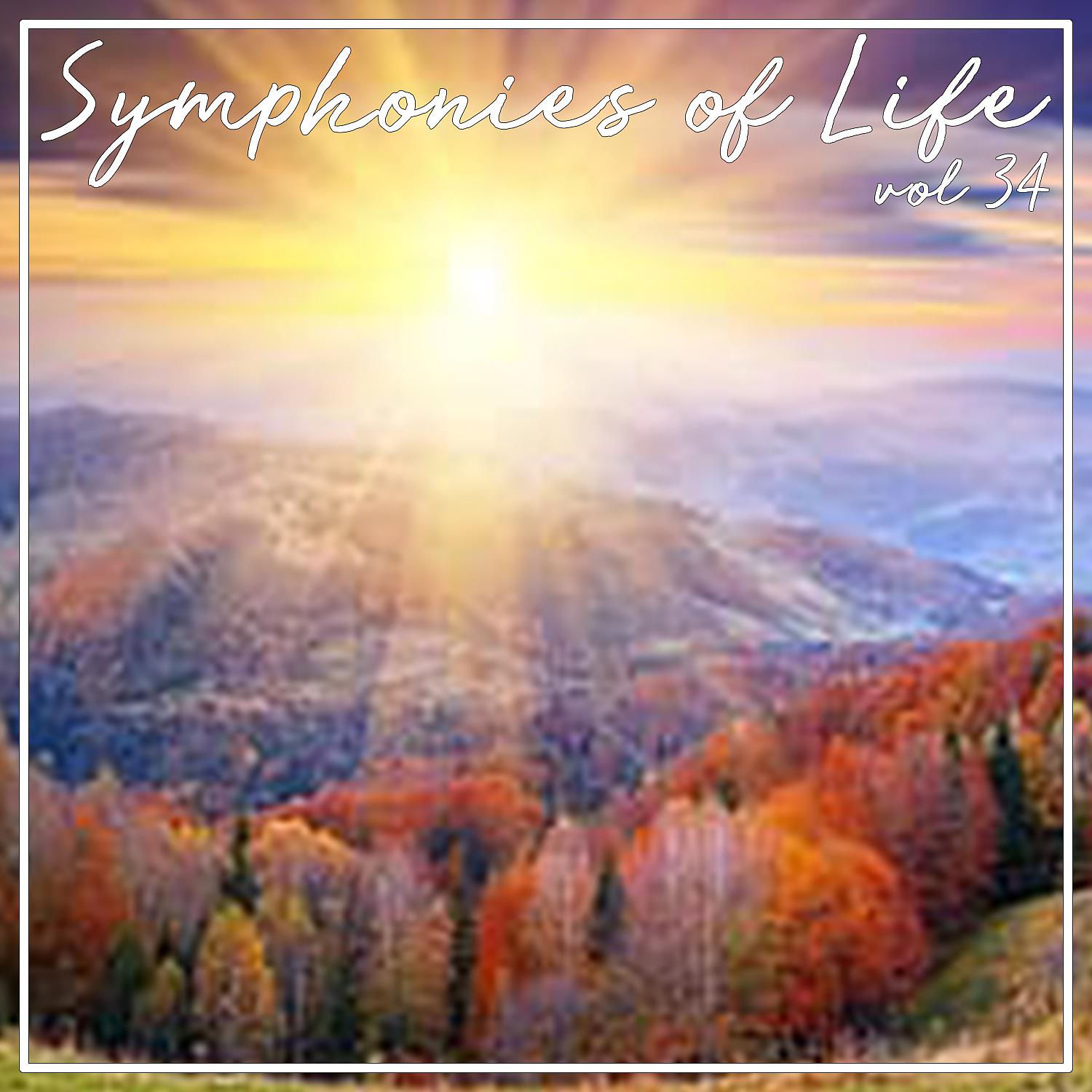 Постер альбома Symphonies of Life, Vol. 34 - Weill: Die Sieben Todsunden, Mahagonny Songspiel